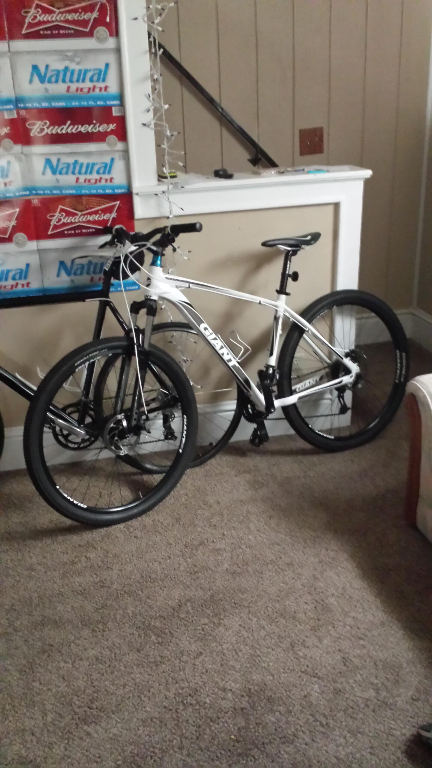 Giant Talon 29er: Two bicycles are parked side by side inside a room with beige walls and a carpeted floor. One bike is white with black accents and features the brand name "Giant" prominently on the frame. The other bike is black. Behind the bicycles, there are stacked cases of Natural Light and Budweiser beverages, and some decorative lights are hanging nearby.