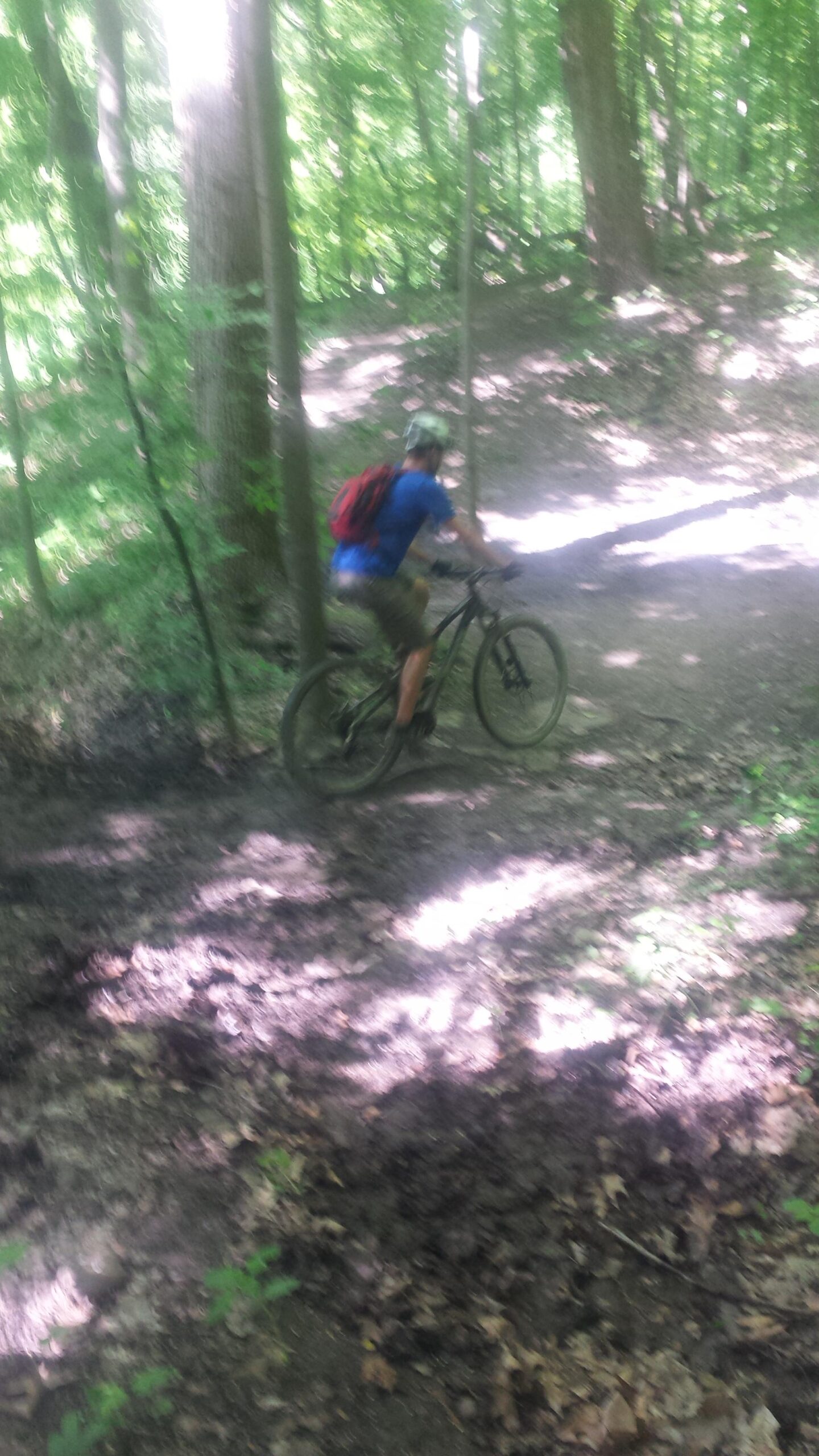 A person riding a mountain bike on a dirt trail surrounded by green trees and foliage. Sunlight filters through the leaves, creating patches of light and shadow on the forest floor. Frick Park mountain bike trail.