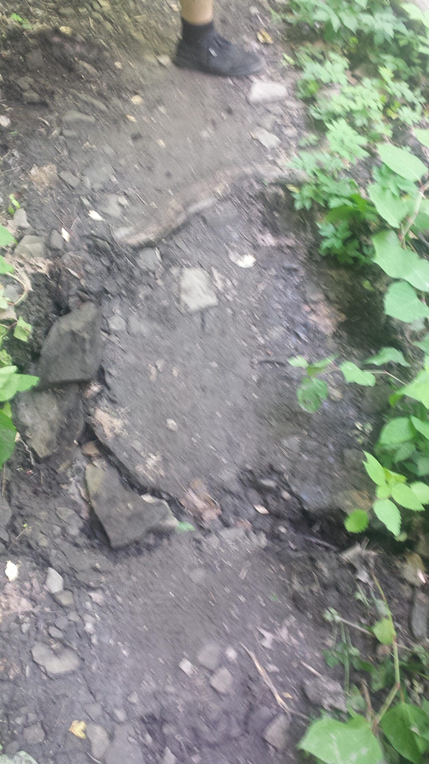 A partially eroded dirt path surrounded by greenery, with a black shoe and sock visible in the lower corner. The surface is uneven, featuring exposed rocks and patches of dirt, indicating frequent foot traffic. Frick Park mountain bike trail.