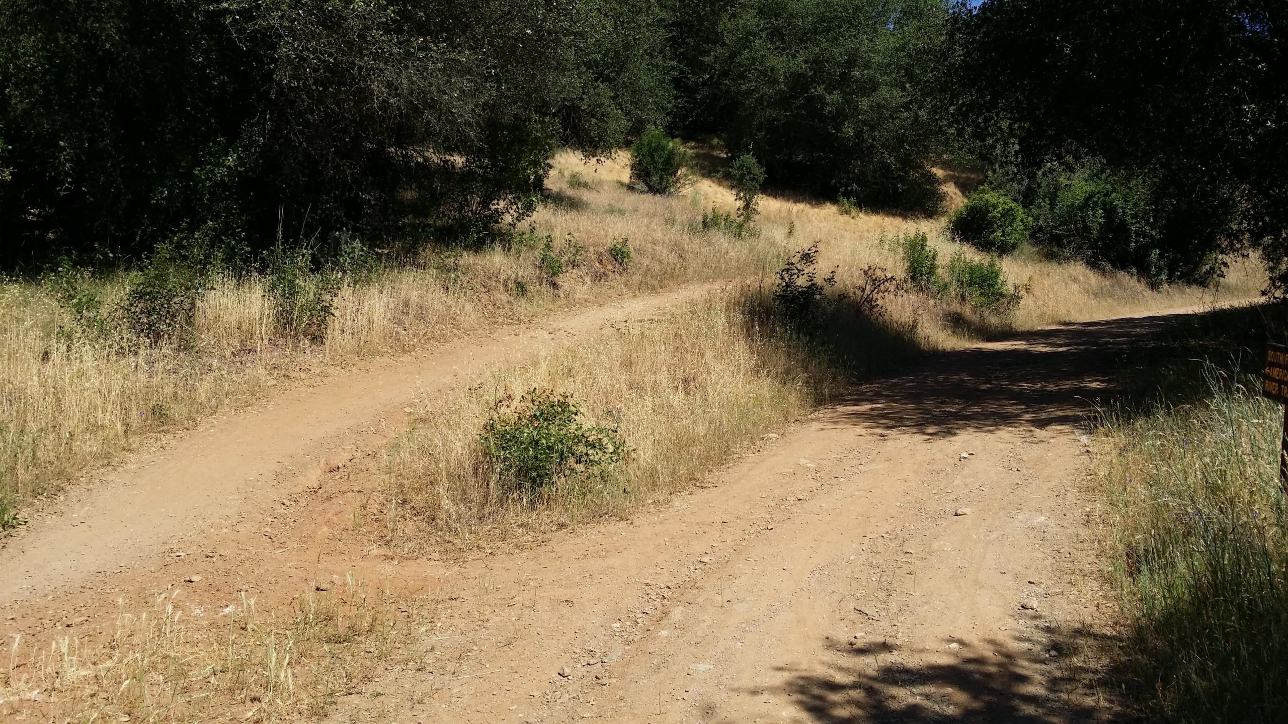 A dirt path diverging into two trails, surrounded by tall grass and sparse shrubs under a clear blue sky. Trees provide shade on one side, while the area is sunlit, creating a natural, tranquil setting. West Ridge Trail mountain bike trail.