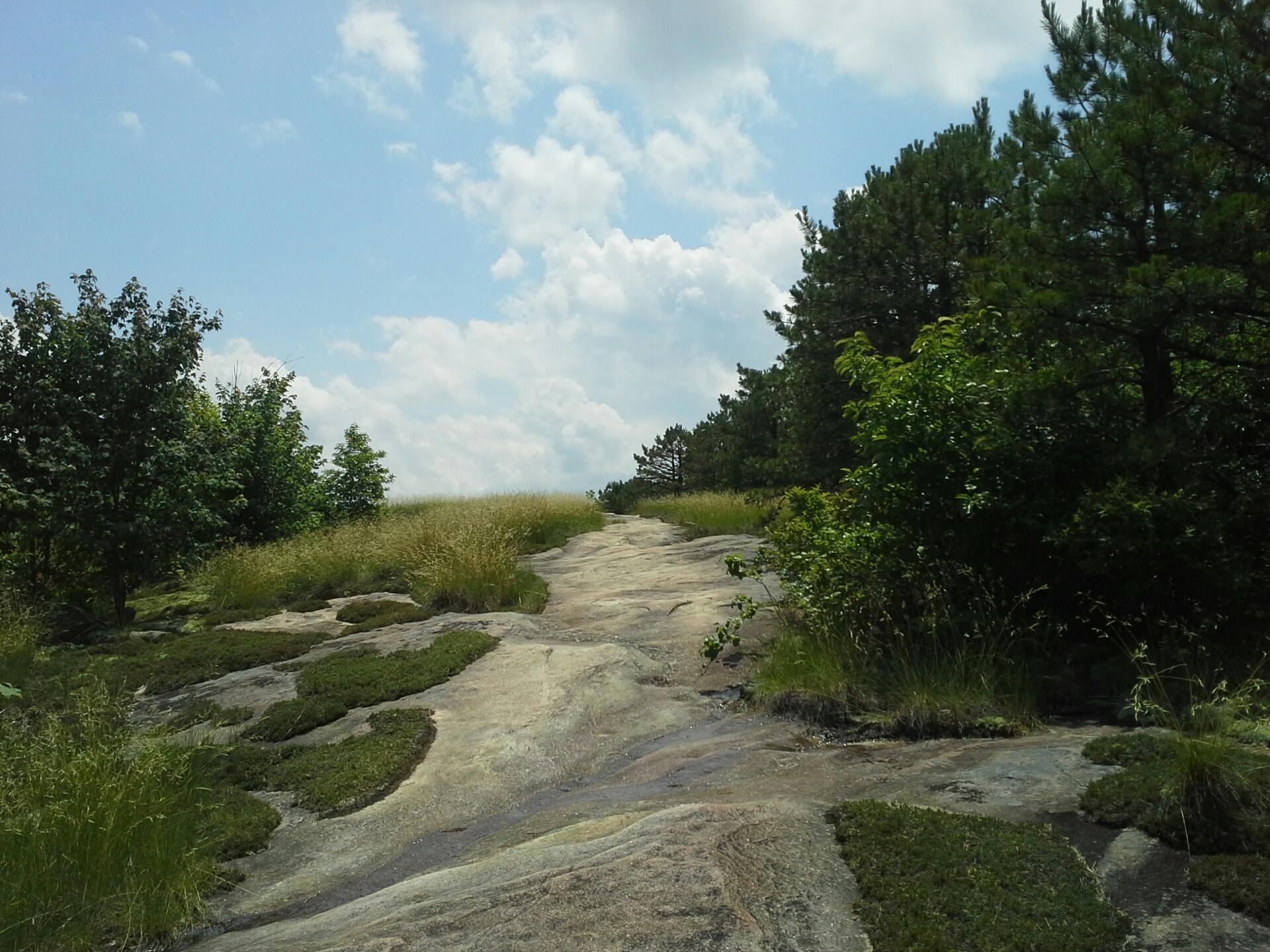 A natural landscape featuring a rocky path leading through lush greenery under a partly cloudy sky. The terrain is covered with patches of moss and grass, surrounded by trees and shrubs on either side. Cedar Rock Trail #16 mountain bike trail.