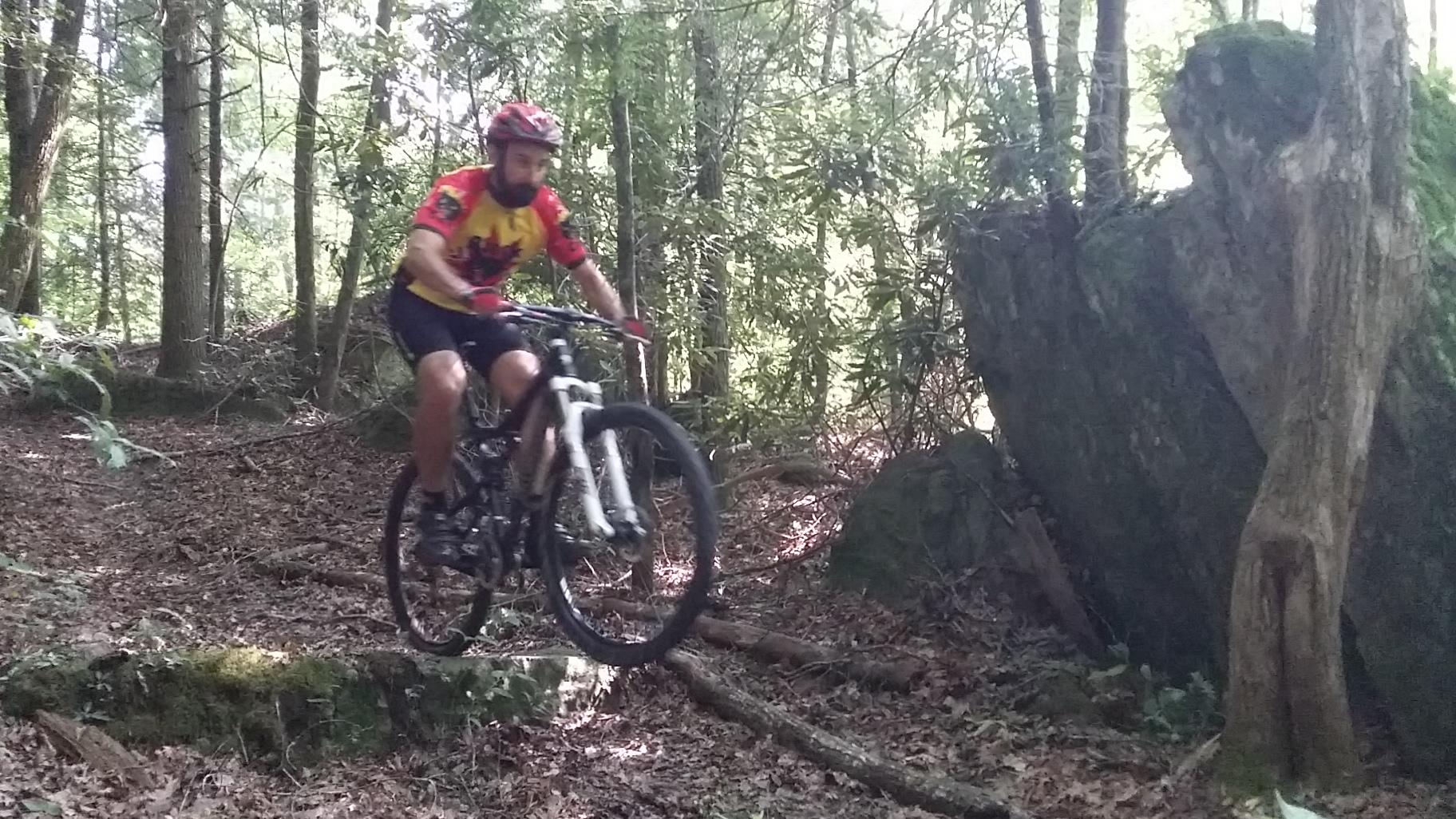 A mountain biker in a red and yellow jersey jumps over a small log in a wooded area. The scene is surrounded by trees and greenery, with sunlight filtering through the leaves. Cane Creek (sheltowee Trace Trail) mountain bike trail.
