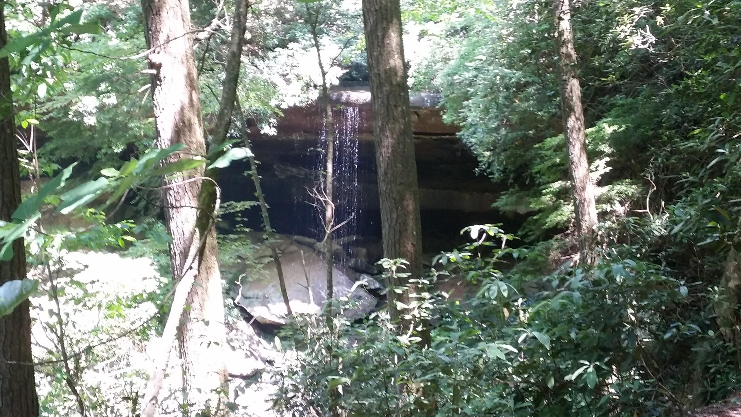 A serene forest scene featuring a waterfall cascading over a rocky ledge, surrounded by lush green trees and foliage. Sunlight filters through the leaves, creating a peaceful atmosphere in a natural setting. Cane Creek (sheltowee Trace Trail) mountain bike trail.