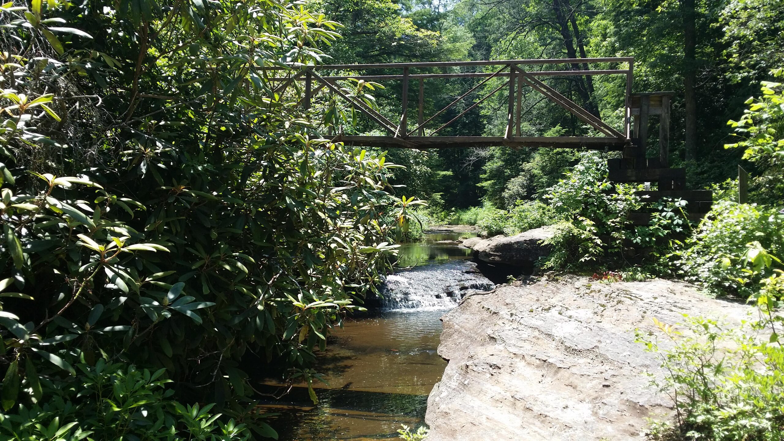 A wooden bridge spans a small stream in a lush, green forest setting. Sunlight filters through the dense foliage, illuminating the surrounding trees and plants. The water in the stream flows gently over rocks, creating a serene and picturesque natural scene. Cane Creek (sheltowee Trace Trail) mountain bike trail.