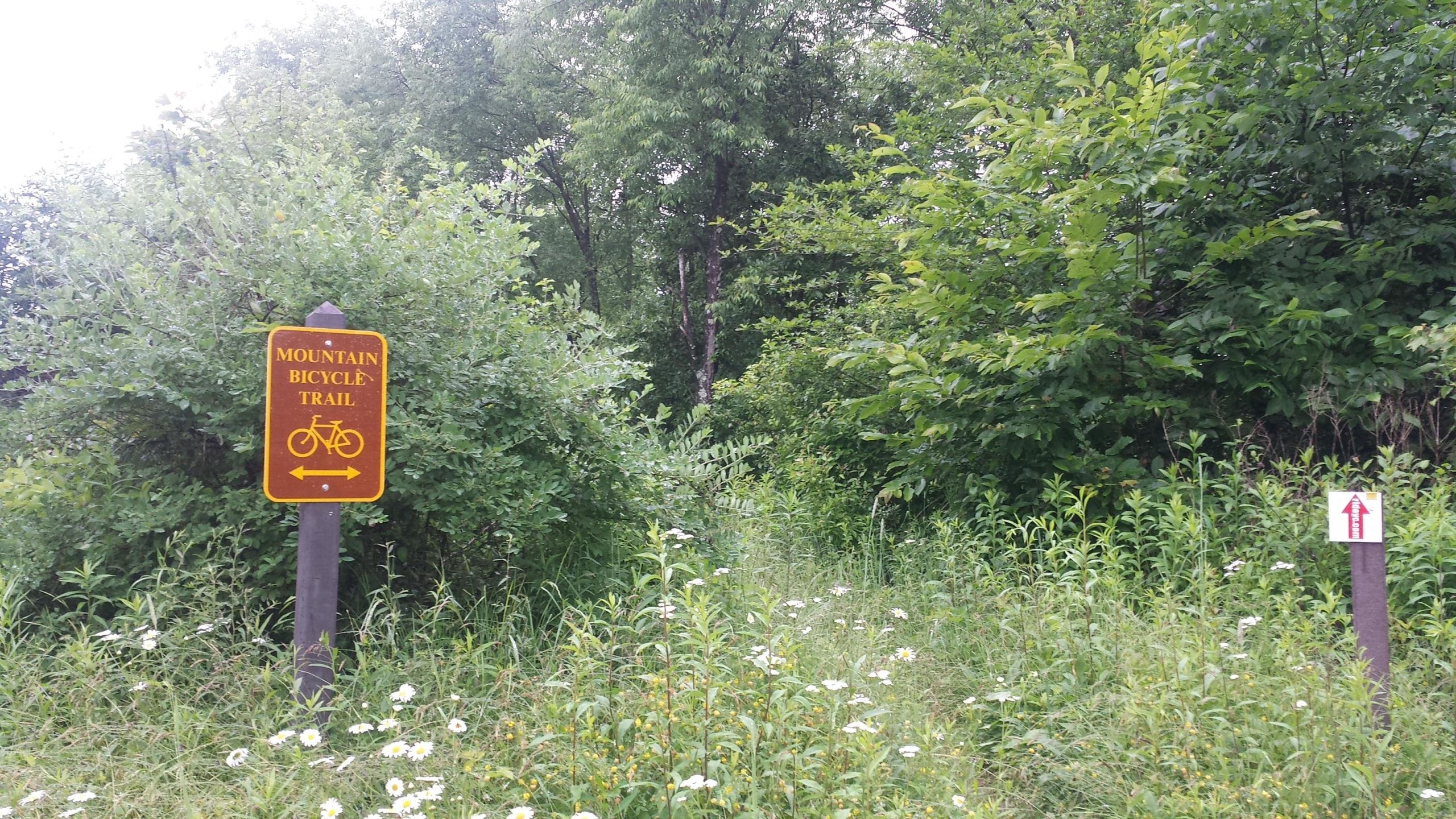 A sign indicating the start of a mountain bicycle trail, surrounded by lush greenery and wildflowers. The sign displays a bicycle graphic and arrows pointing in both directions. Another smaller sign with an arrow is visible nearby. Yellow Creek State Park mountain bike trail.