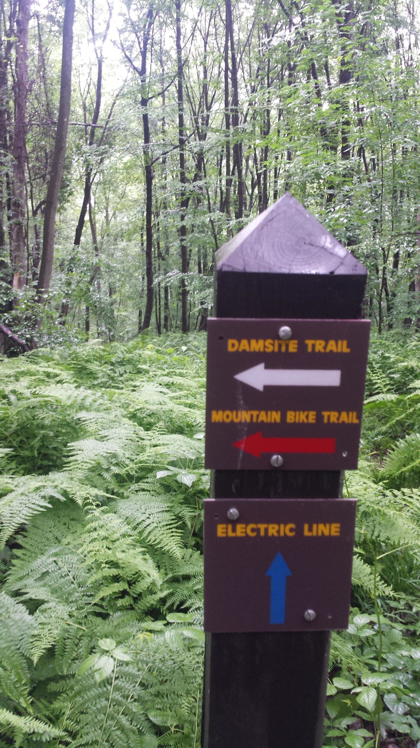 Yellow Creek State Park Photos