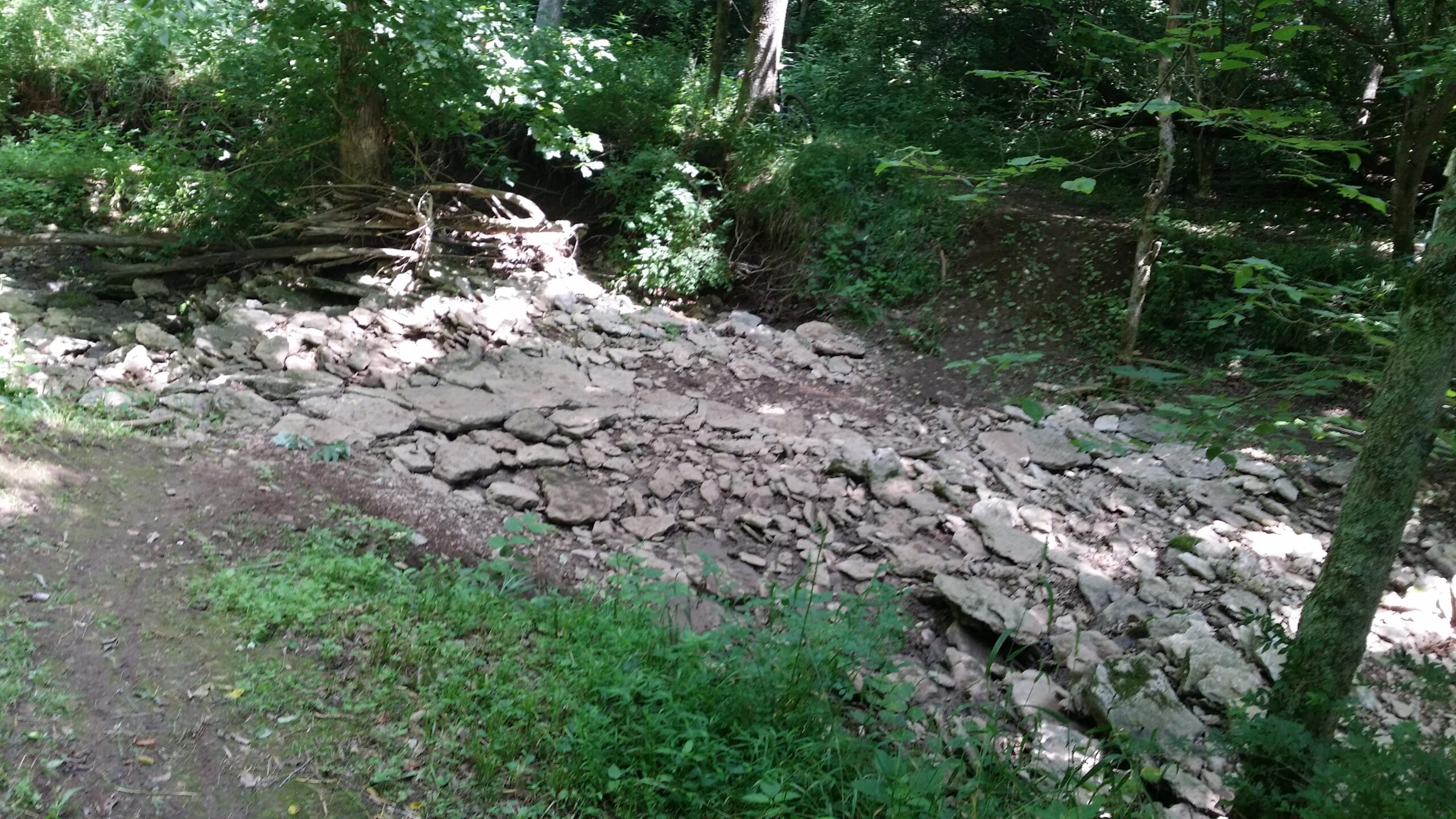 A rocky, dry creek bed surrounded by lush green foliage and trees, with sunlight filtering through the leaves. The ground is covered in scattered stones, while a narrow dirt path runs along the side. Knucklehead mountain bike trail.