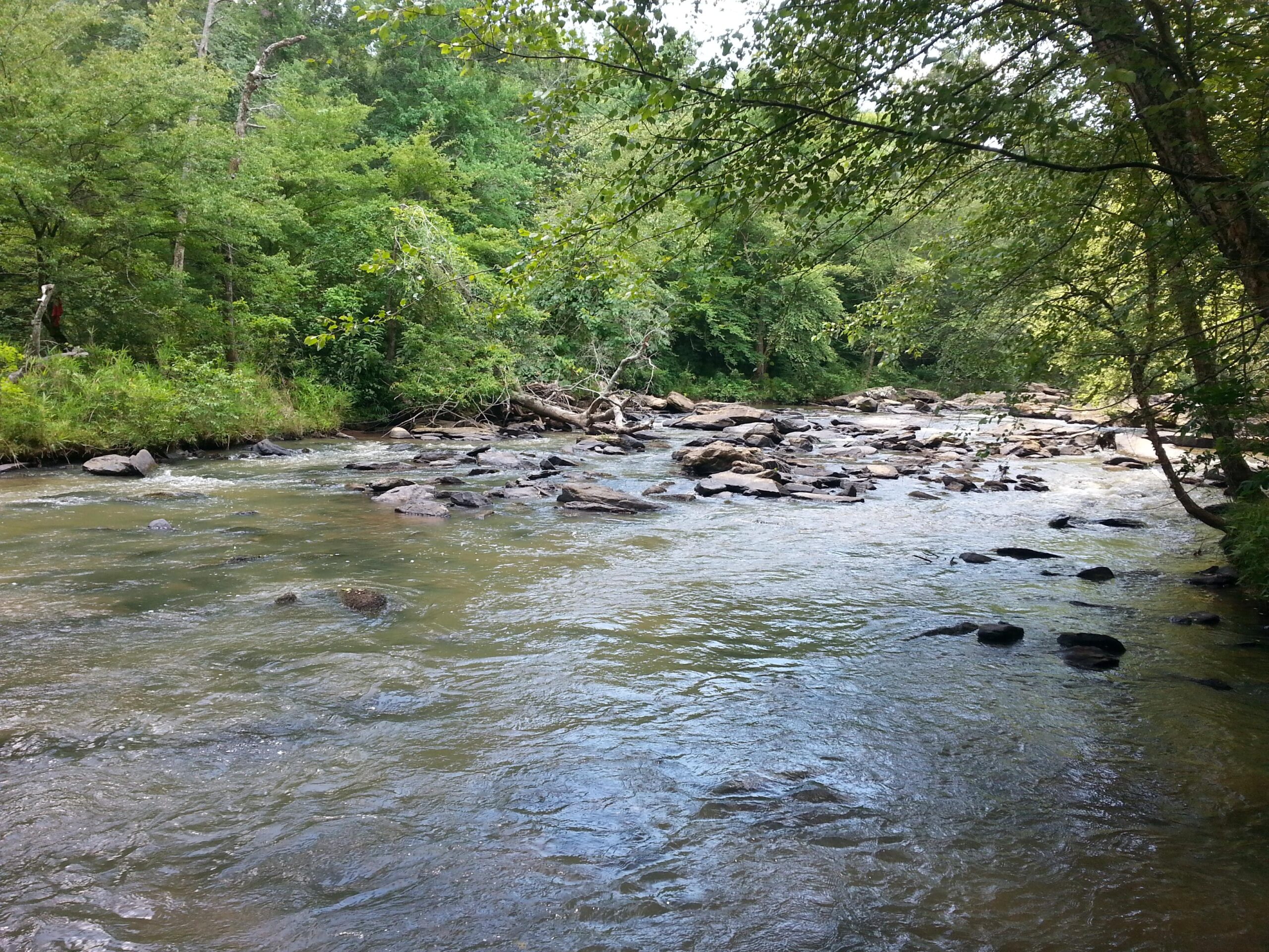 A serene river flowing through a lush green landscape, with scattered rocks and fallen logs along the banks, surrounded by dense trees and foliage. Watson Mill Bridge State Park mountain bike trail.