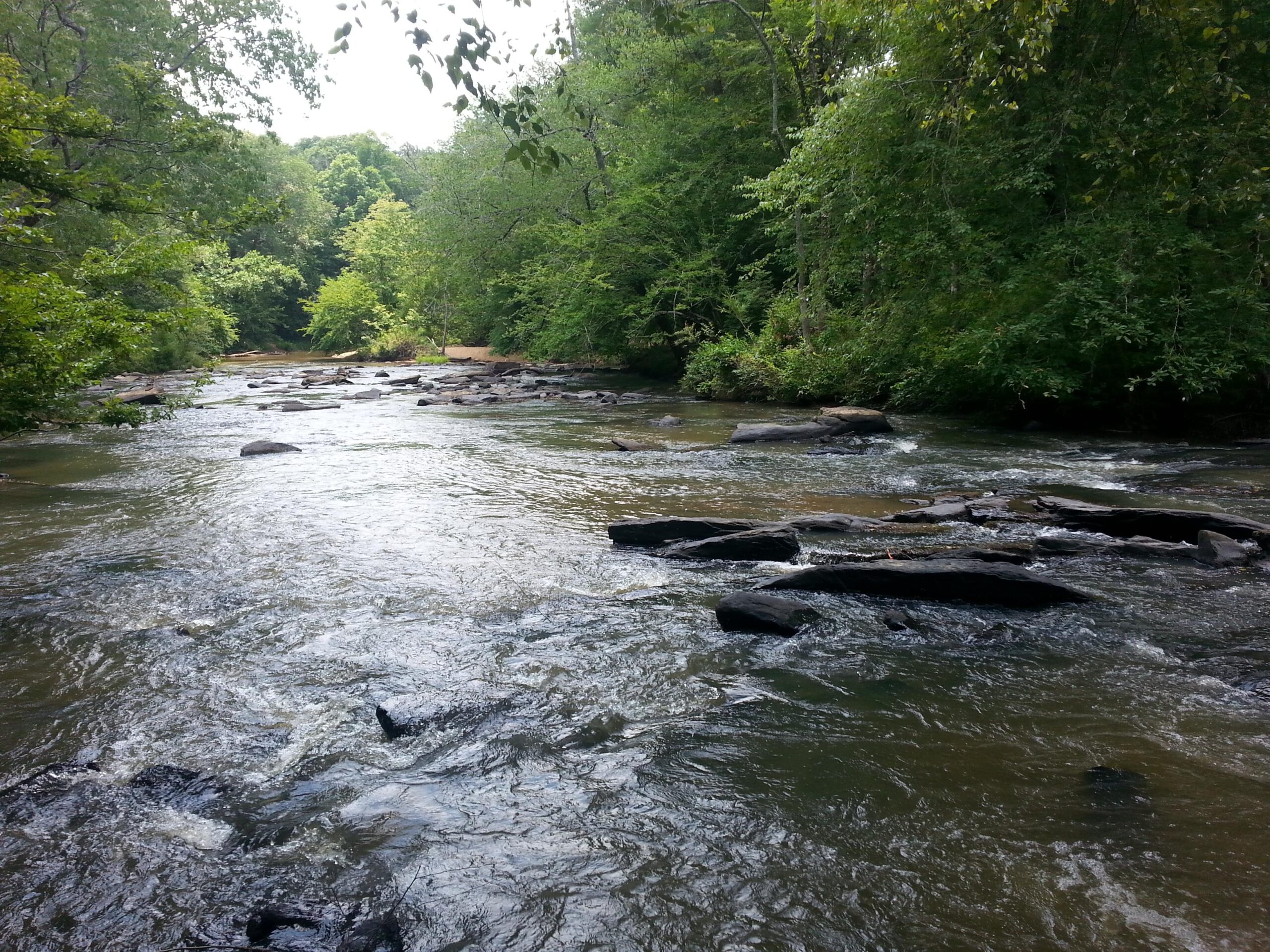 A tranquil river flows through a lush, green landscape, with scattered rocks visible above the water surface. The scene is framed by trees on both sides, creating a serene natural setting under a cloudy sky. Watson Mill Bridge State Park mountain bike trail.