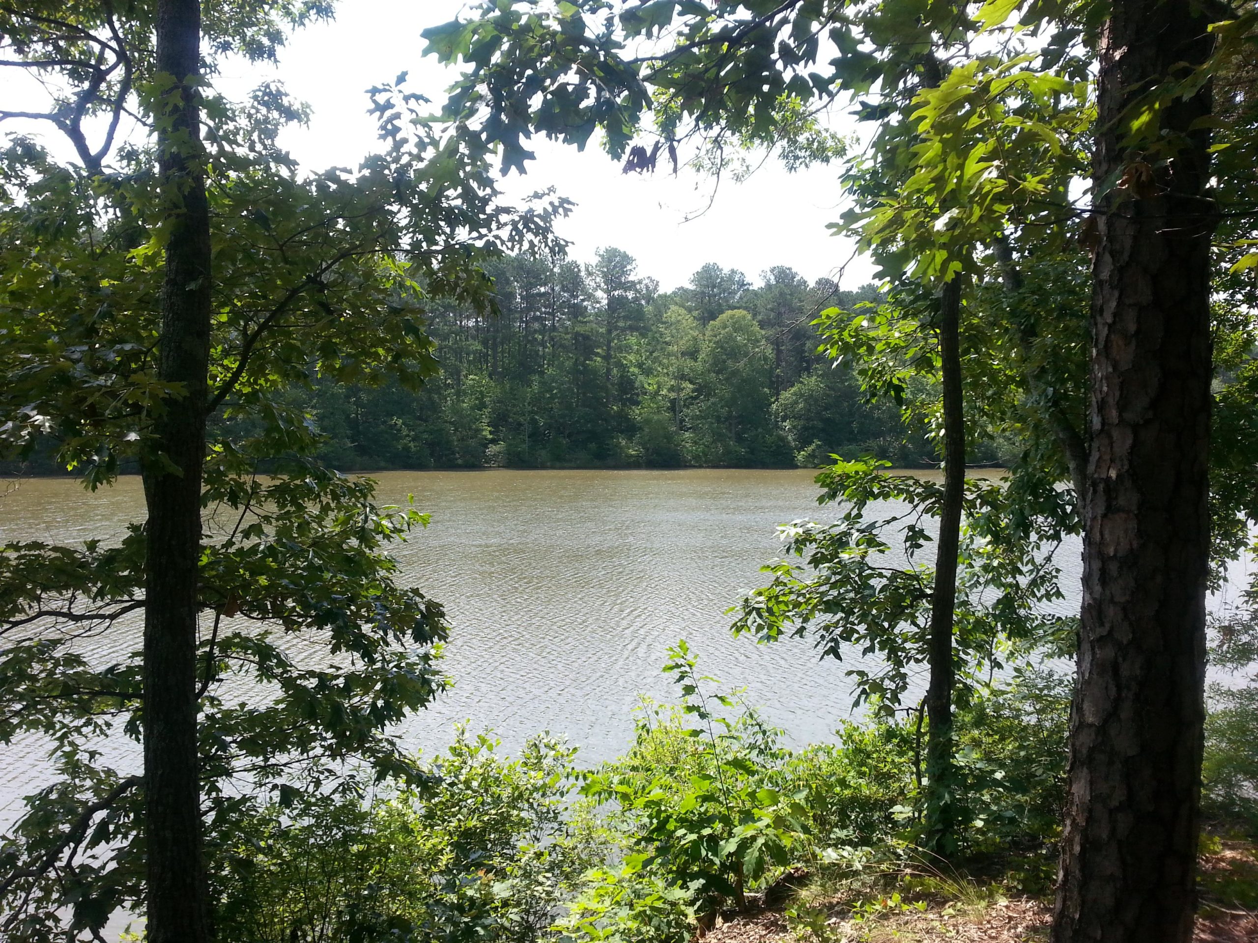 A serene view of a calm lake framed by greenery, with trees on either side. The water reflects the sunlight, and the shoreline features lush vegetation, creating a tranquil natural setting. Fort Yargo State Park mountain bike trail.