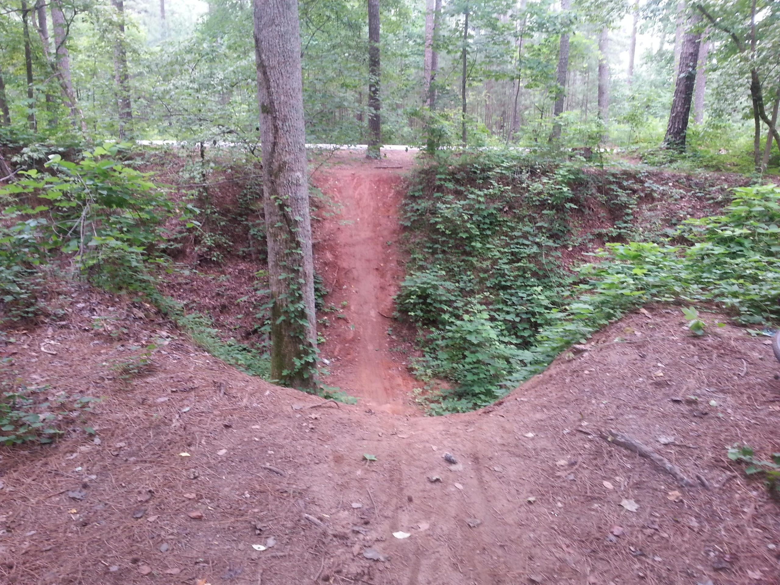A forested area with a steep, sandy embankment forming a small ravine. The surrounding landscape is lush with greenery, including trees and shrubs. The ground is covered with pine needles and loose soil, and a faint road can be seen in the background. Fort Yargo State Park mountain bike trail.