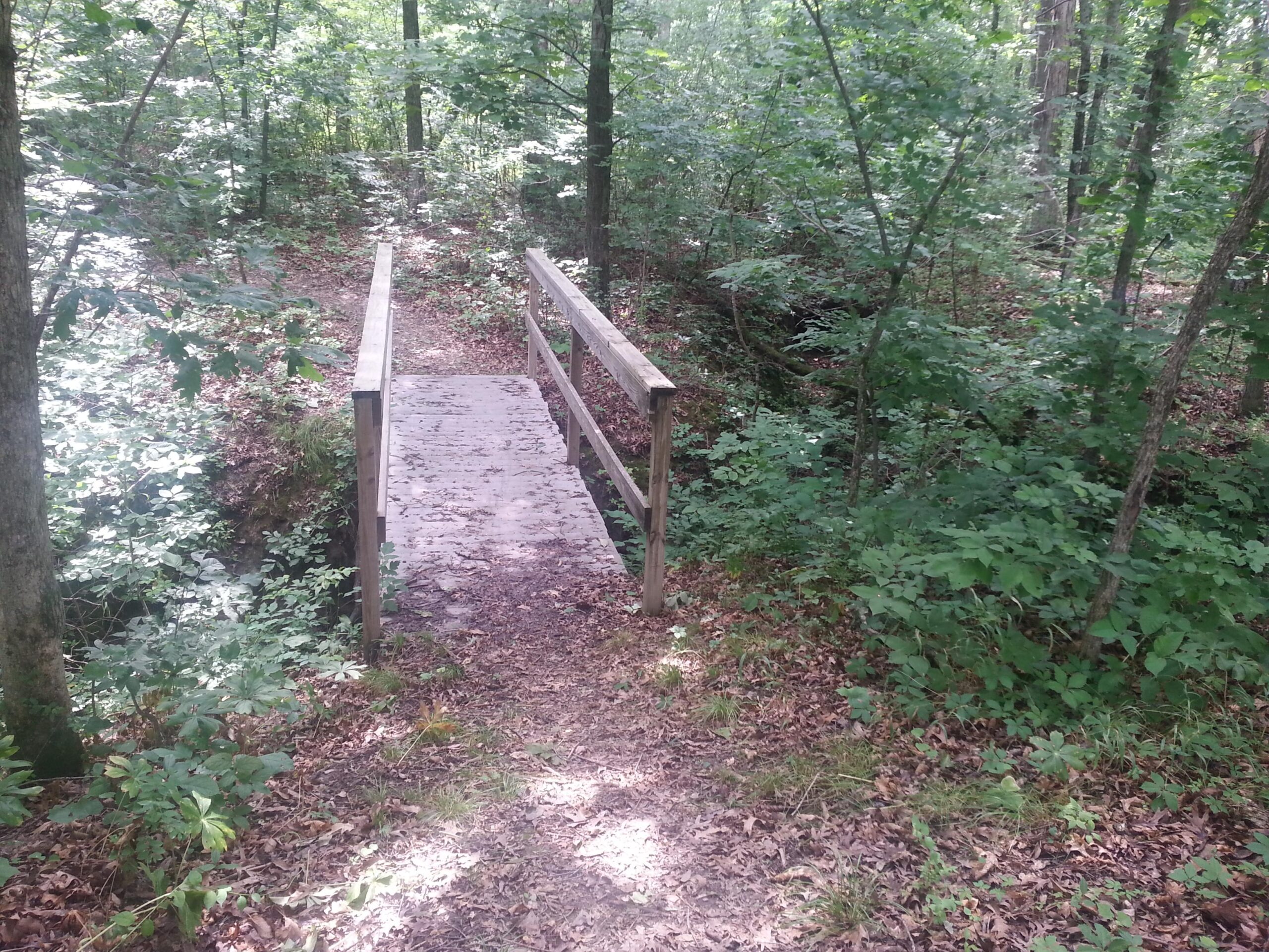 A wooden footbridge crossing over a small stream, surrounded by lush green vegetation and trees in a forested area. The path leading to the bridge is covered in leaves, creating a natural, tranquil setting. Camp Camfield mountain bike trail.