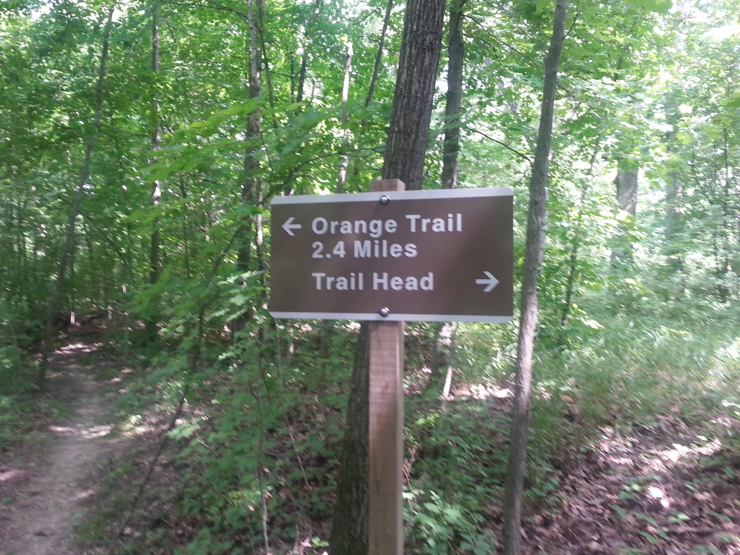 A signpost indicating the Orange Trail, which is 2.4 miles long, with arrows pointing left towards the trailhead. Surrounded by lush green trees and foliage in a wooded area. Camp Camfield mountain bike trail.