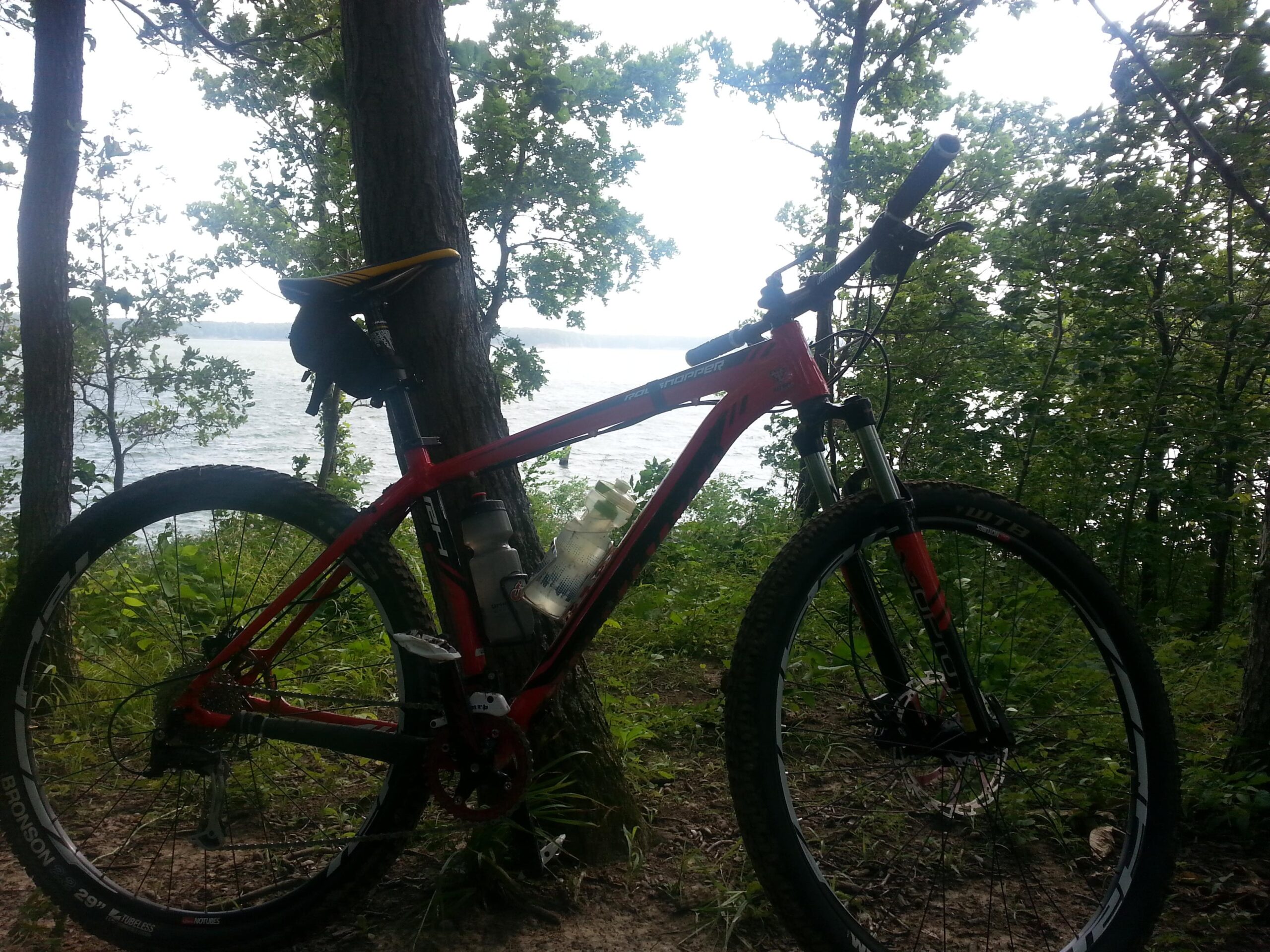 A red mountain bike leaning against a tree, surrounded by greenery, with a view of a body of water in the background under a cloudy sky. Camp Camfield mountain bike trail.