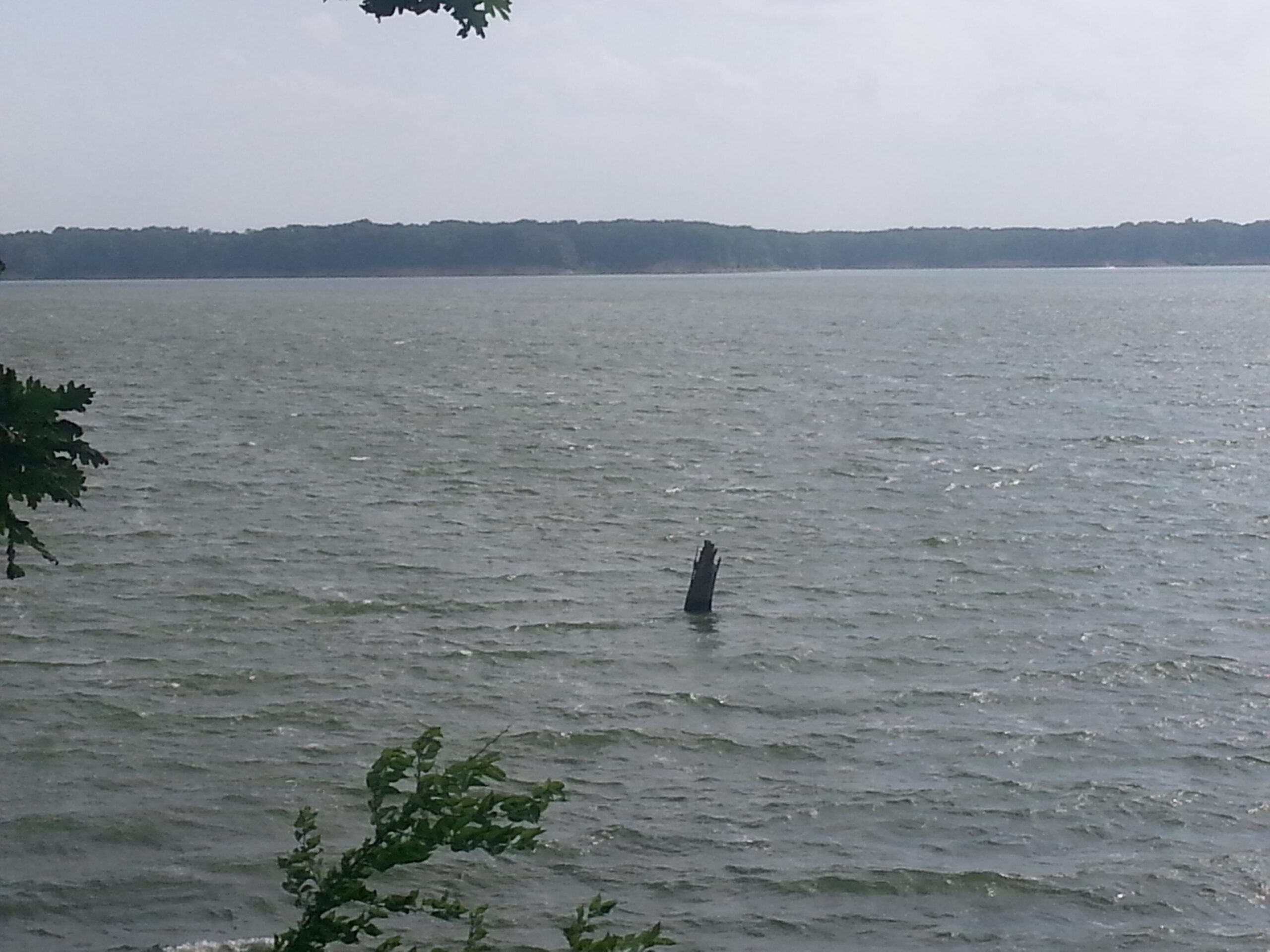 A partially submerged wooden post stands in a rippling body of water, with a tree branch visible in the foreground. In the background, a tree-lined shoreline stretches along the horizon under a light cloudy sky. Camp Camfield mountain bike trail.