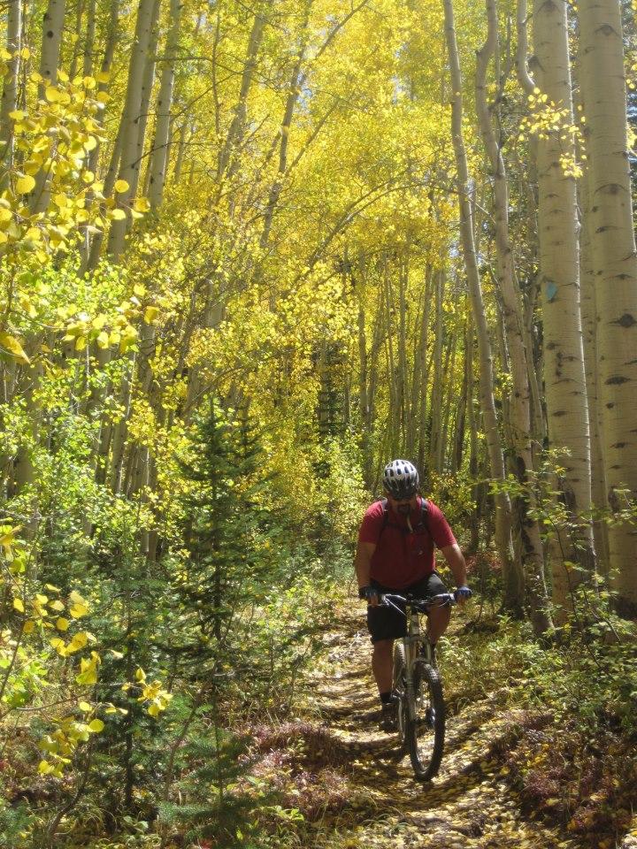 A mountain biker riding through a picturesque trail surrounded by vibrant yellow aspen trees and greenery in a wooded area. The sunlight filters through the leaves, creating a warm and inviting atmosphere. West Bench Trail mountain bike trail.