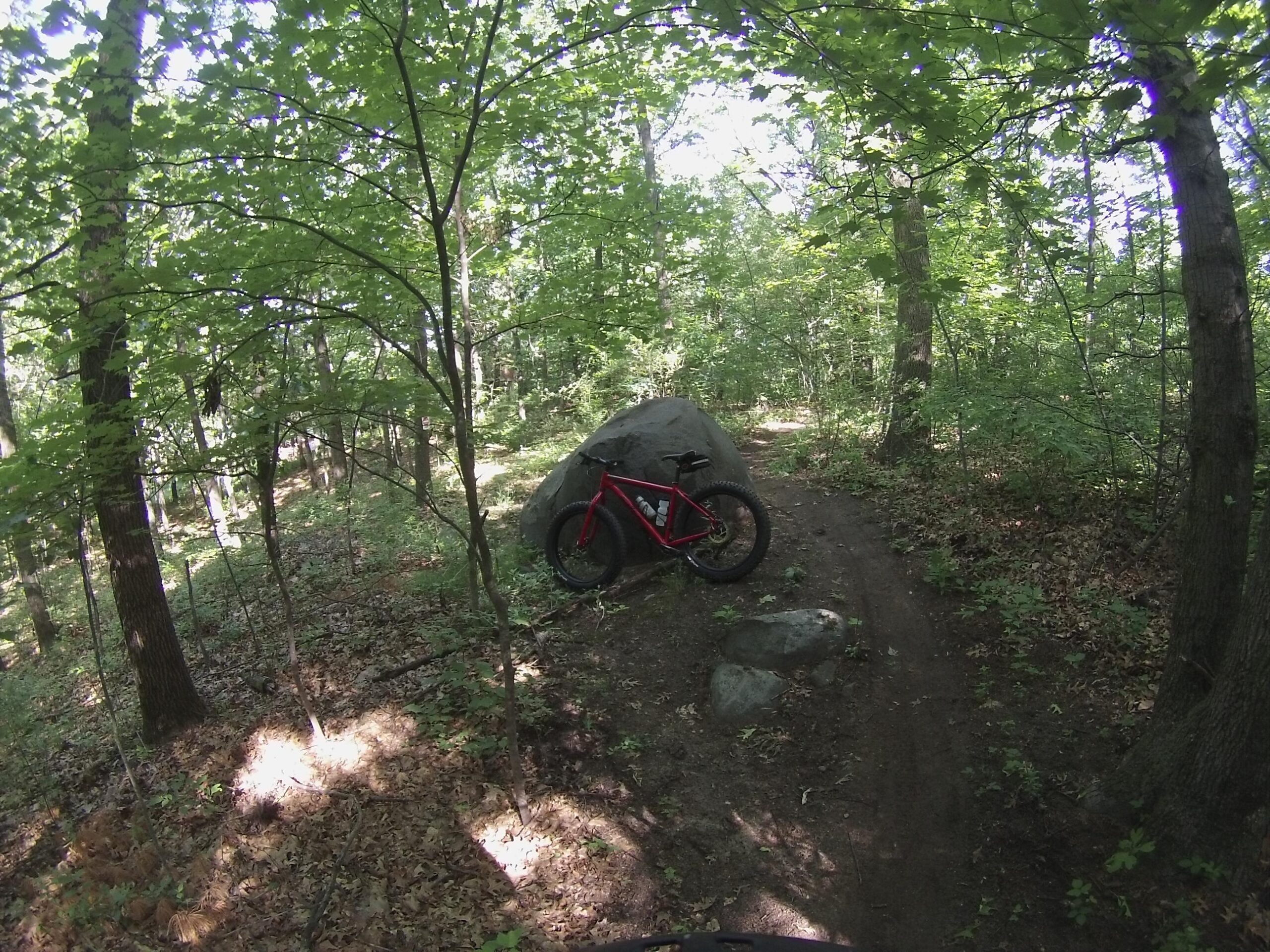 Salsa Mukluk: A red mountain bike resting next to a large boulder on a dirt trail surrounded by lush green trees in a forest setting. Sunlight filters through the leaves, creating a dappled light effect on the ground covered in fallen leaves.