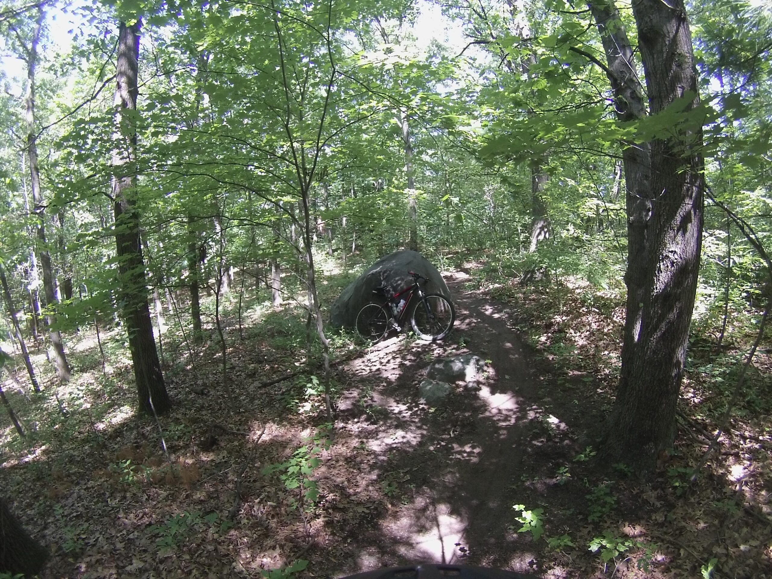 Specialized Hardrock Sport Disc 29er: Mountain bike leaning against a large rock on a dirt trail surrounded by lush green trees and foliage in a sunny forest setting.