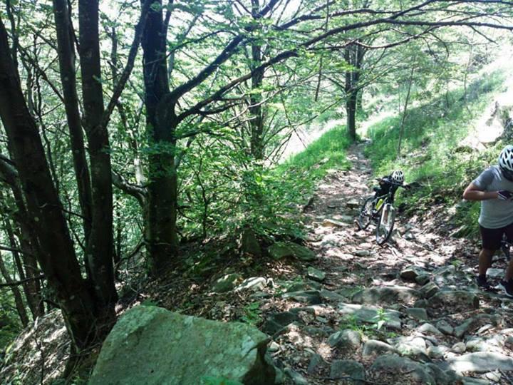 A rocky trail surrounded by trees in a lush green forest, with a cyclist resting next to their mountain bike. The sunlight filters through the leaves, creating a natural, serene atmosphere. Vallombrosa / Pratomagno mountain bike trail.