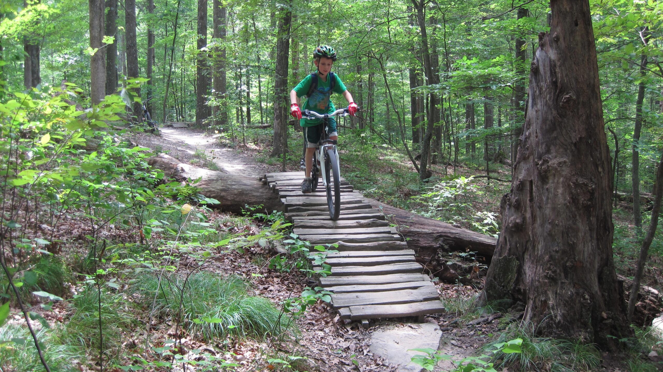 A young person riding a mountain bike along a wooden bridge in a lush green forest. The path is surrounded by trees and foliage, with sunlight filtering through the leaves. Brown County Park mountain bike trail.