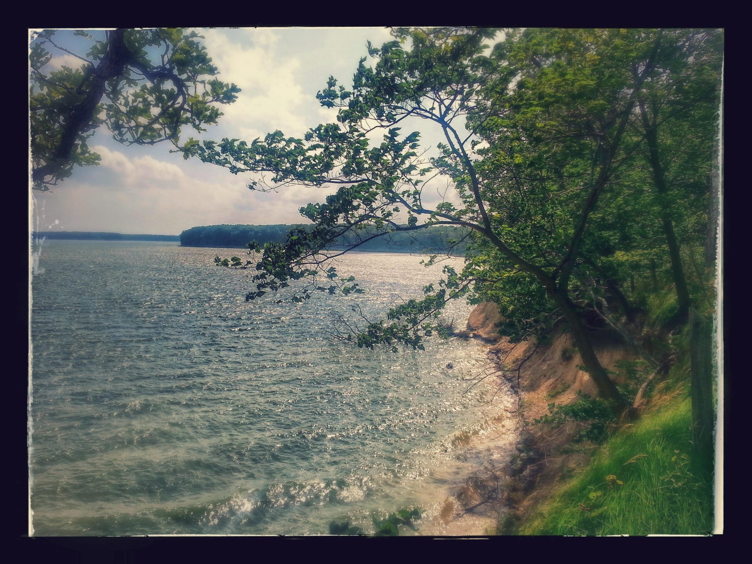 A serene view of a calm water body surrounded by lush green trees. The scene captures gentle waves reflecting sunlight, with a sandy shoreline visible on the right. Soft clouds drift through a bright sky in the background, creating a tranquil atmosphere. Camp Camfield mountain bike trail.