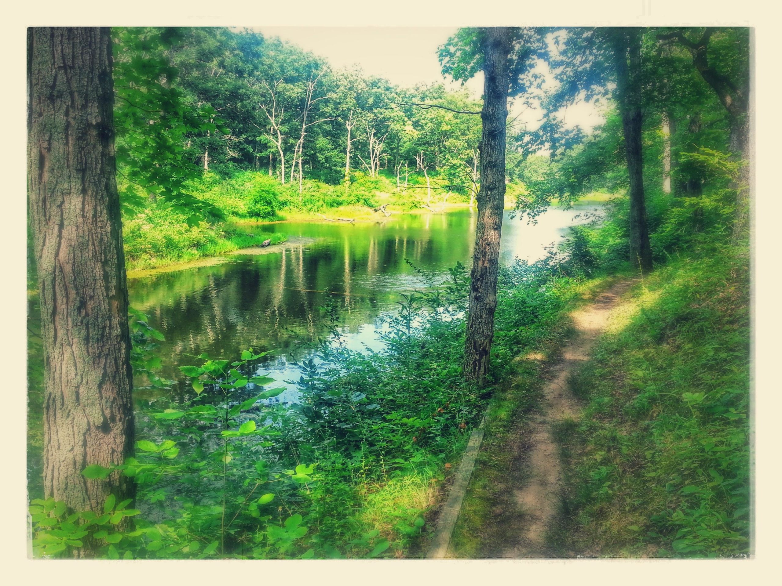 A serene river view framed by tall trees and lush greenery, with a dirt path winding alongside the water. The calm surface of the river reflects the surrounding nature, creating a peaceful outdoor setting. Camp Camfield mountain bike trail.