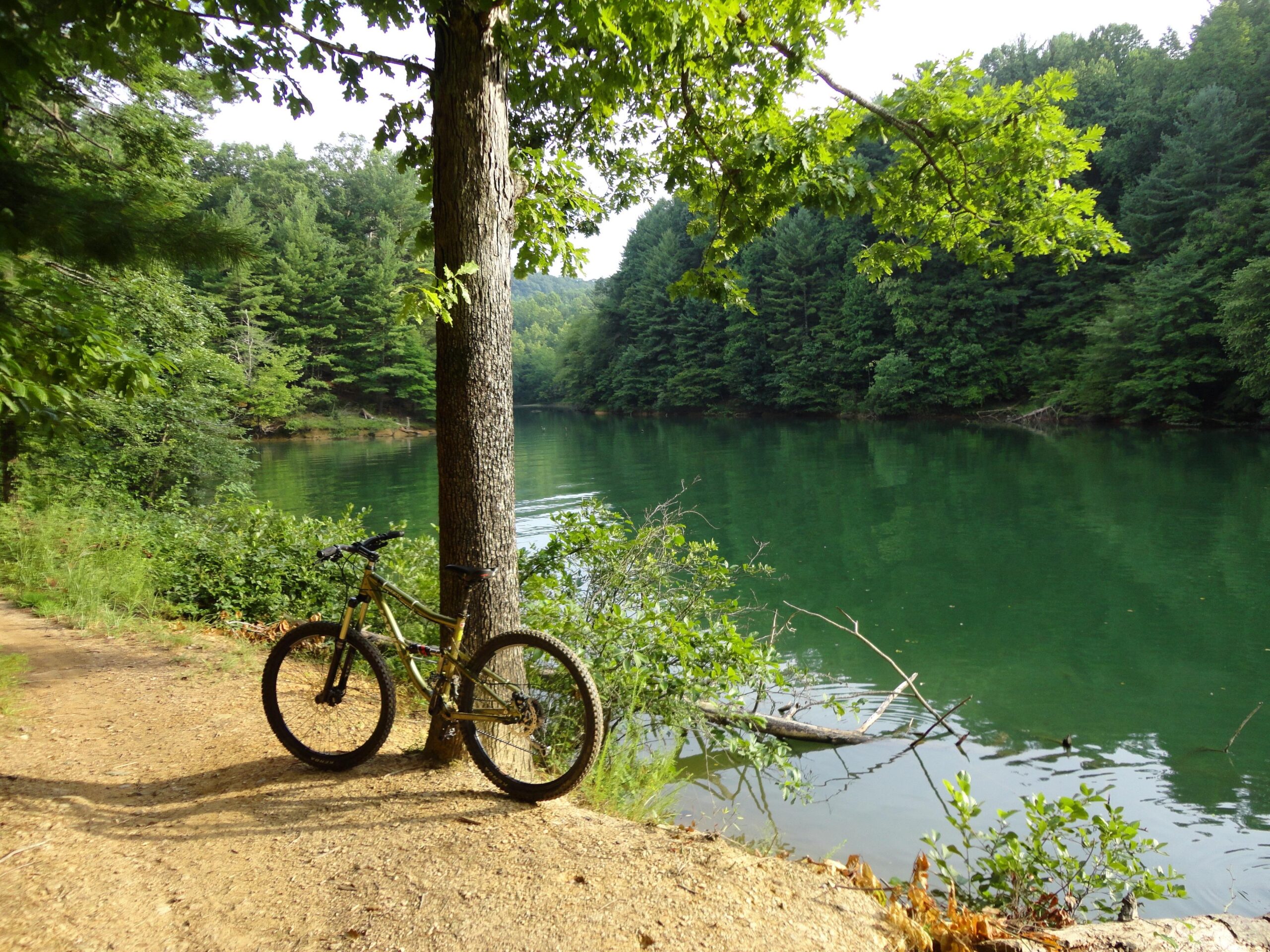 A mountain bike leaning against a tree along a scenic lakeside path, surrounded by lush green foliage. The calm water reflects the trees and sky, creating a tranquil natural setting. Overmountain Victory Trail mountain bike trail.