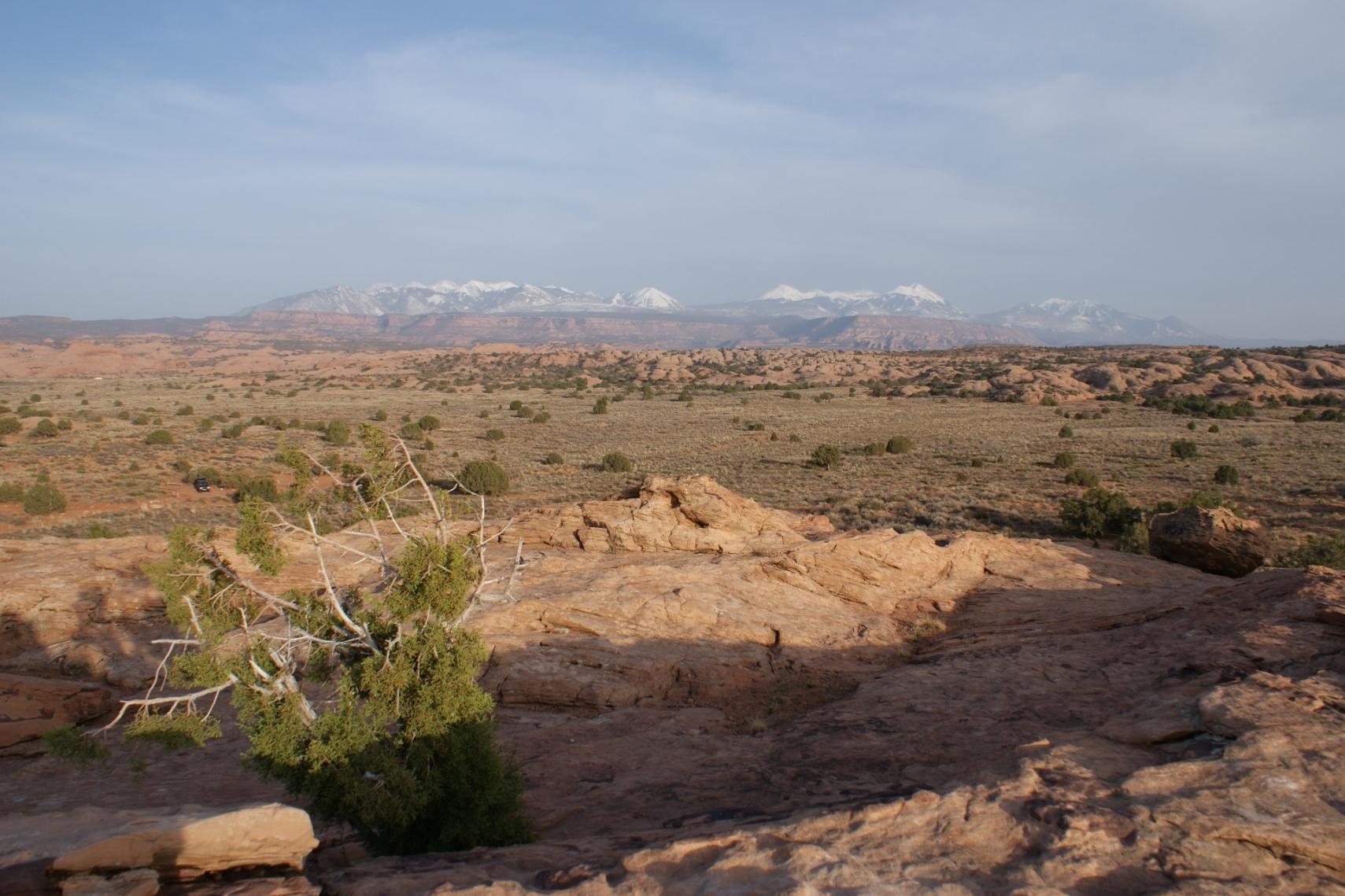 A panoramic view of a desert landscape featuring reddish rock formations and sparse vegetation, with distant snow-capped mountains under a clear sky. A solitary tree adds a natural element to the foreground. Slickrock mountain bike trail.