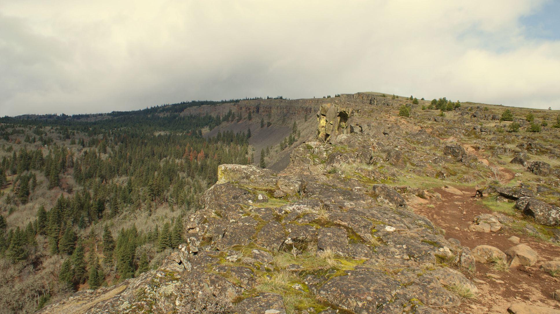 A rocky landscape featuring a ledge with scattered boulders and patches of grass. In the background, a slope covered with a dense forest of evergreen trees extends into the distance, under a cloudy sky. Syncline mountain bike trail.