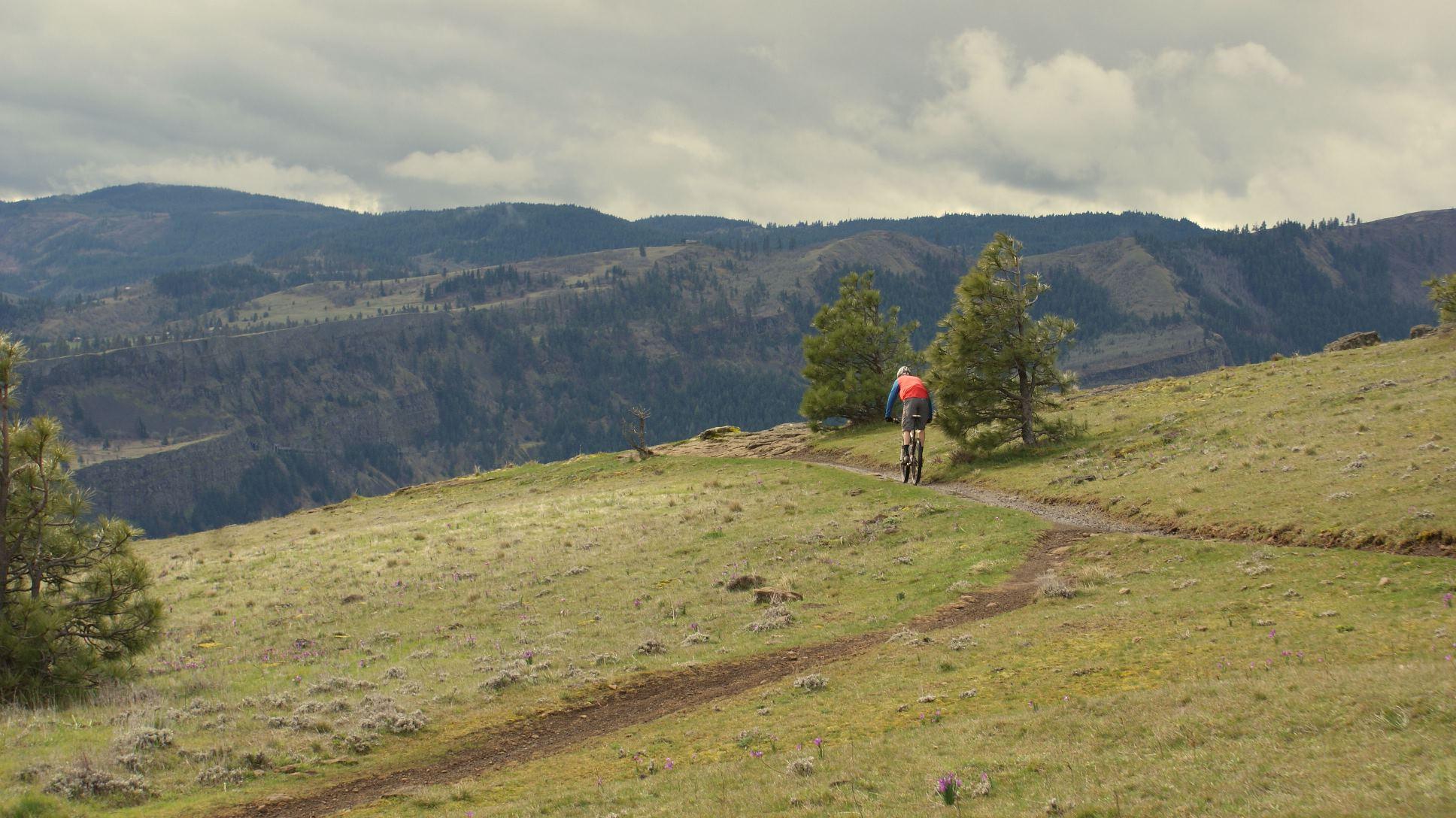 A mountain biker riding along a dirt trail through a grassy hillside, surrounded by trees and rolling hills under a cloudy sky. Syncline mountain bike trail.