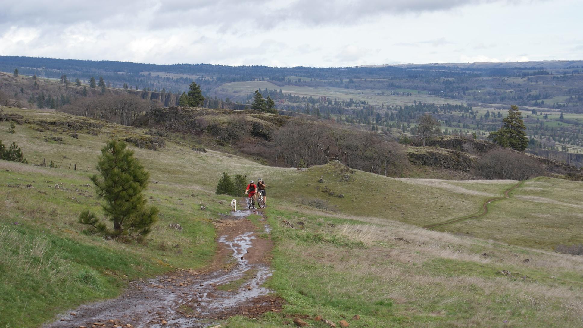 A scenic view of a grassy hiking trail winding through a landscape of rolling hills. Two people are seen walking a bike and a dog along the path, surrounded by trees and open fields under a cloudy sky. The background features distant hills and lush greenery, creating a tranquil outdoor atmosphere. Syncline mountain bike trail.