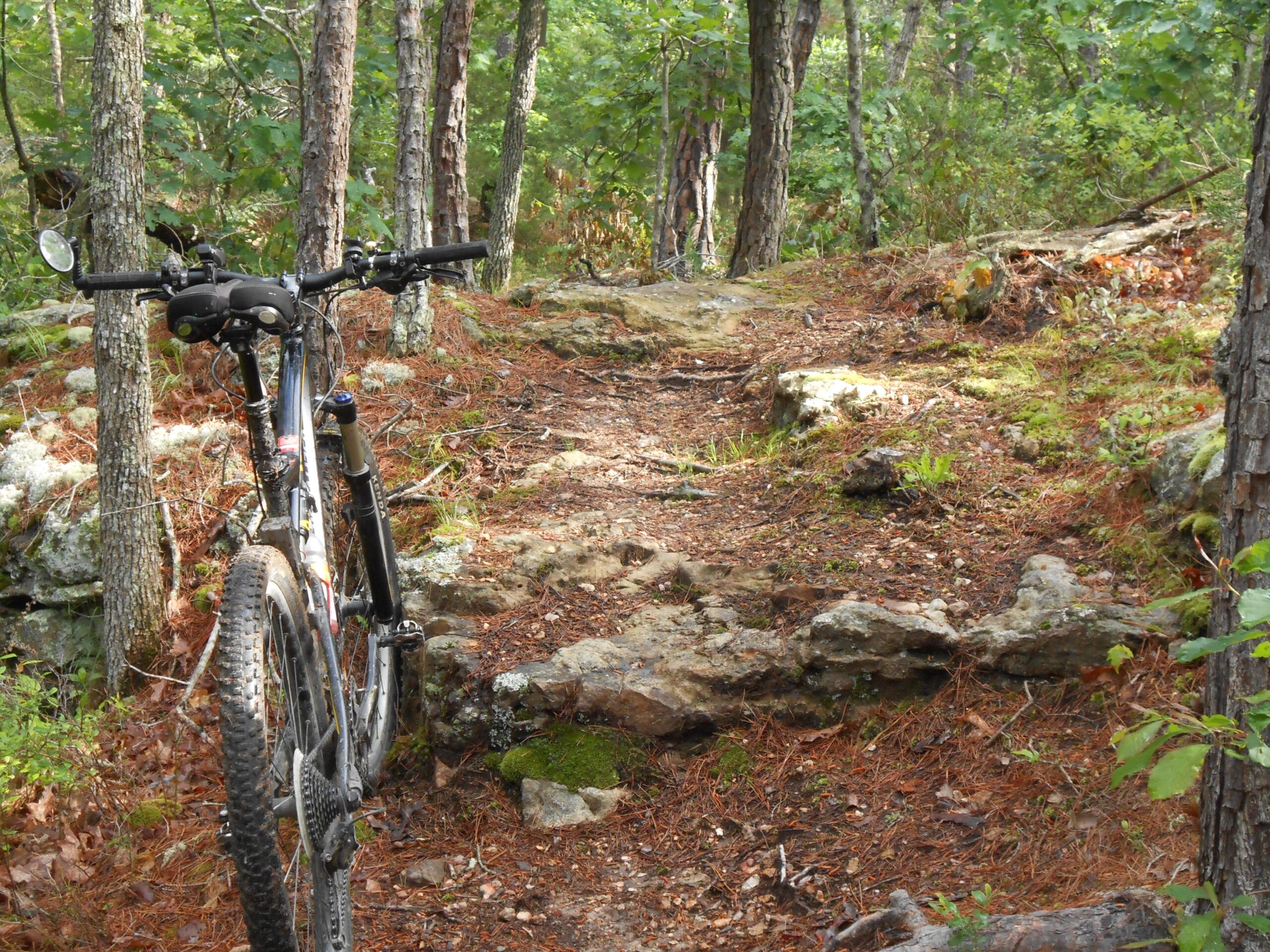 A mountain bike is parked beside a rocky trail in a wooded area, surrounded by trees and pine needles. The path is uneven with visible stones and patches of greenery. The image captures a serene outdoor environment, ideal for biking enthusiasts. Forest City Trail mountain bike trail.