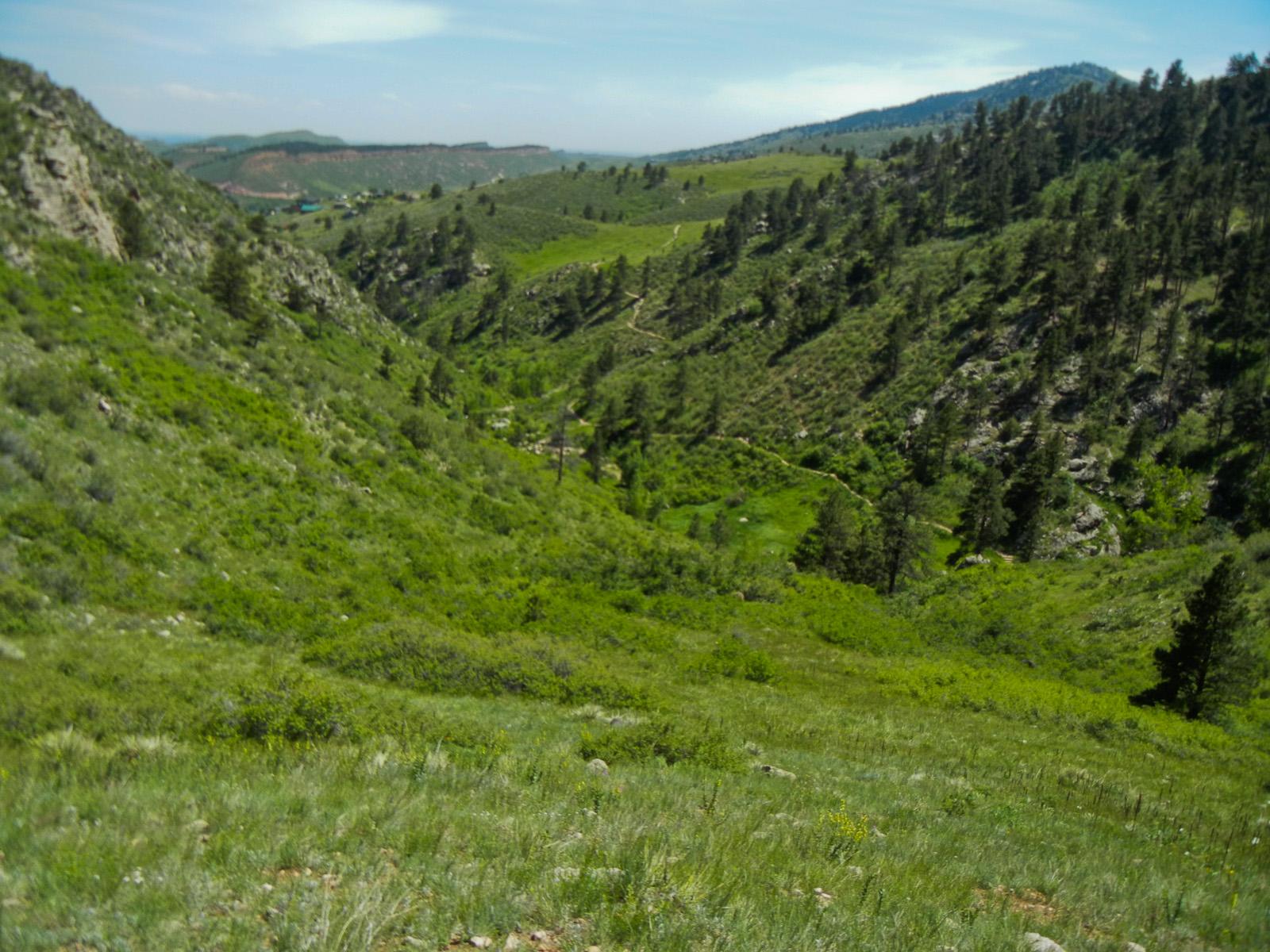 A panoramic view of a lush green valley surrounded by rolling hills and rocky terrain, dotted with pine trees under a clear blue sky. Spring Creek trail mountain bike trail.