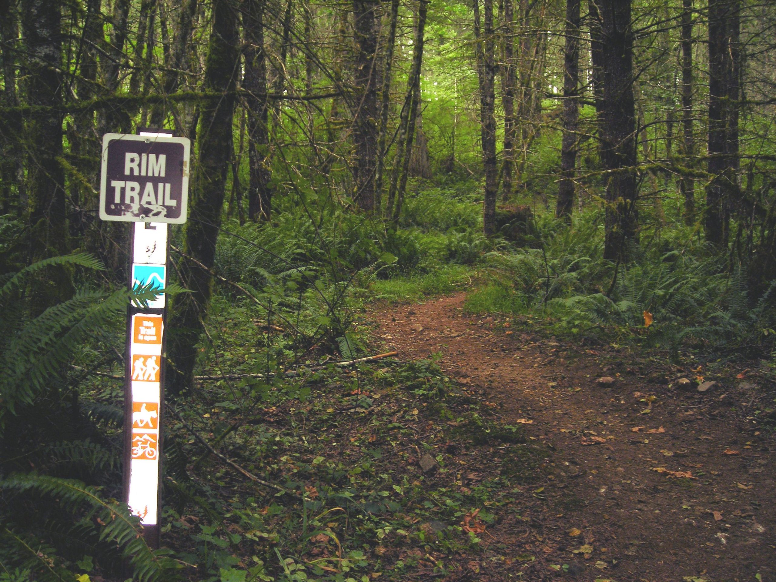 A dirt path winding through a lush, green forest, with a trail sign reading "RIM TRAIL." The sign includes symbols indicating various activities such as hiking, biking, and horseback riding, surrounded by dense trees and ferns. Molalla River Recreation Corridor mountain bike trail.