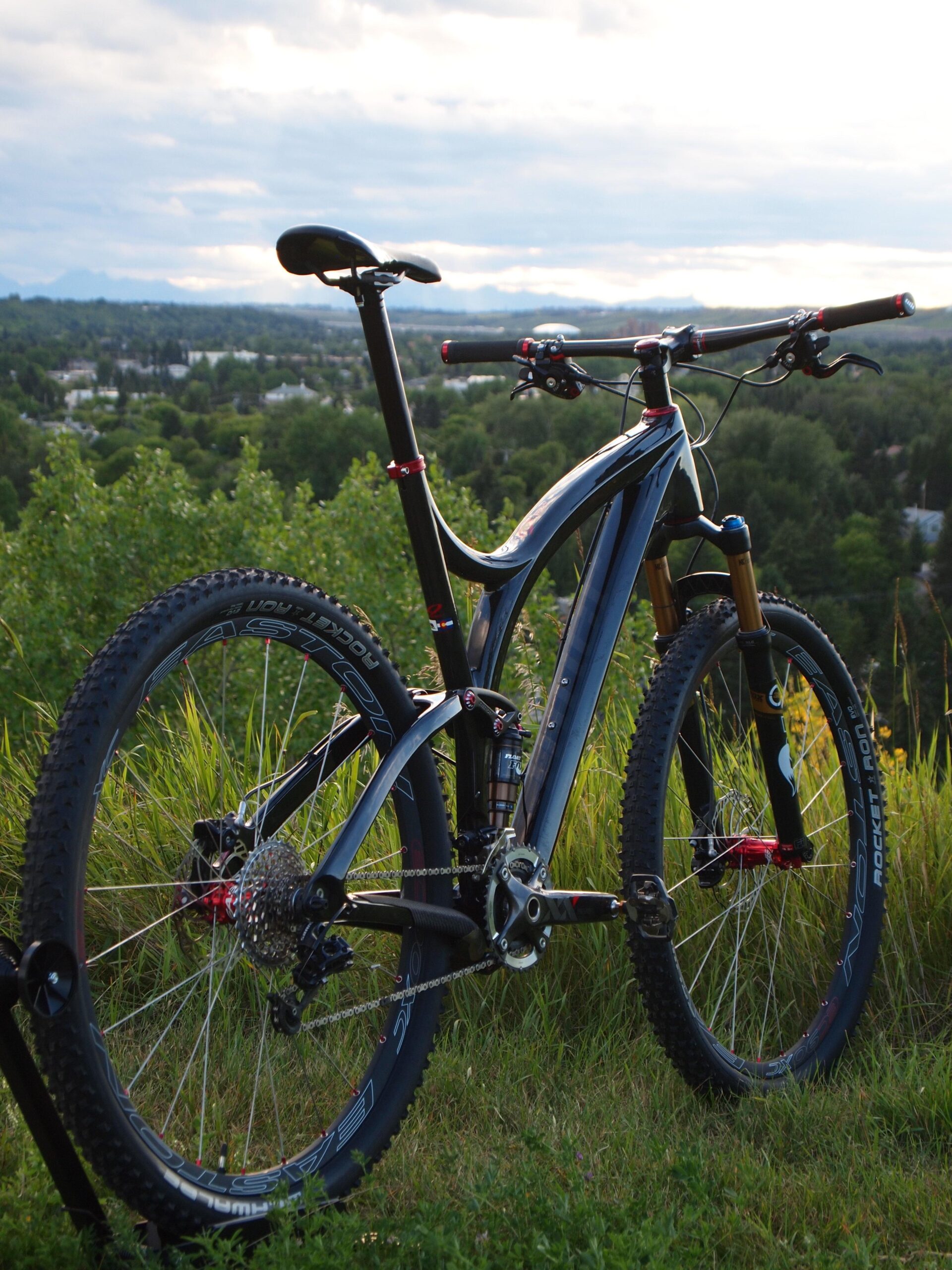 Niner Jet 9 RDO: A mountain bike rests on green grass with a scenic view of hills and a cloudy sky in the background. The bike features a sleek black frame, prominent suspension components, and rugged tires, reflecting its readiness for outdoor adventures.