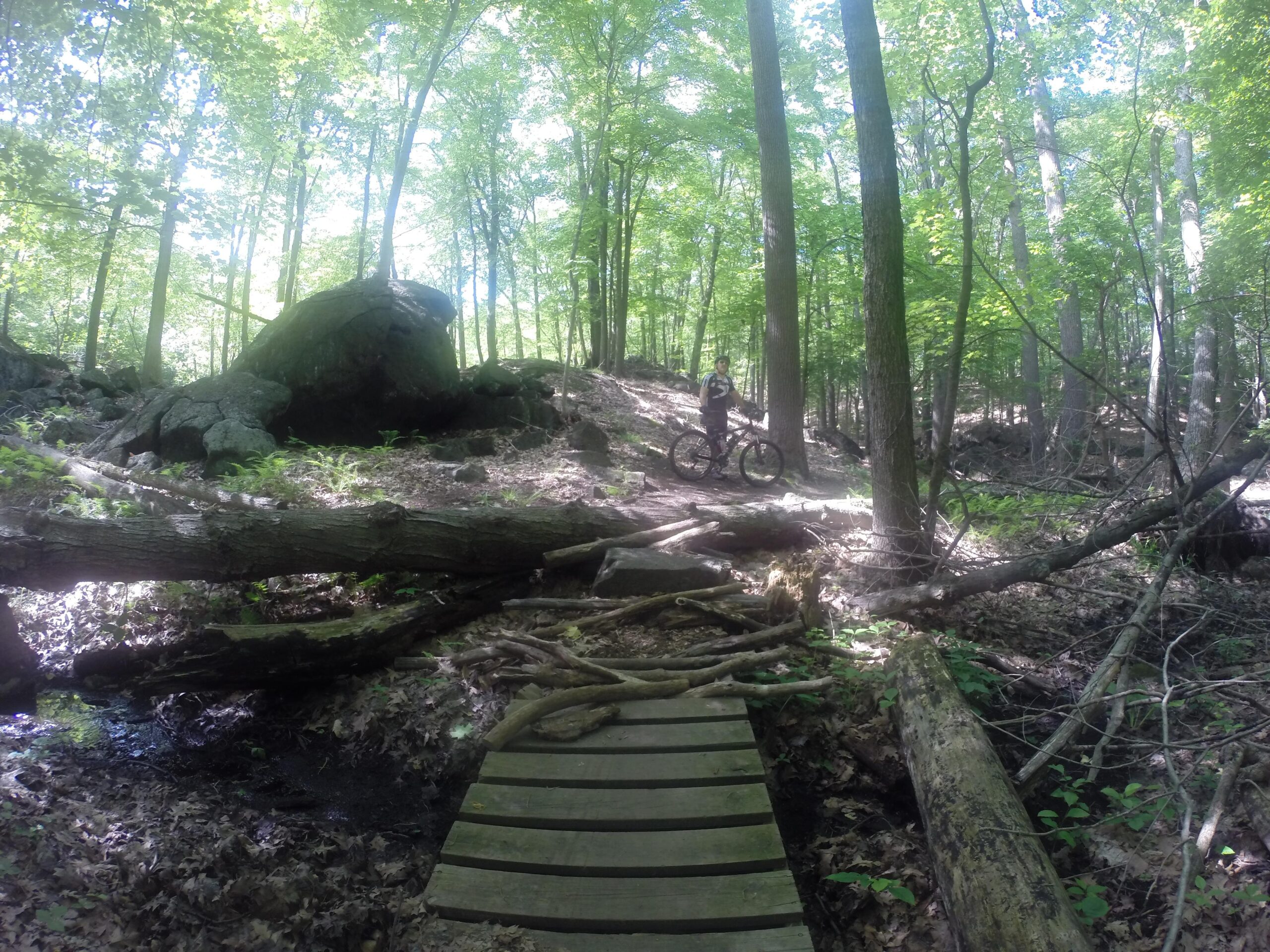 A mountain biker standing next to a wooden bridge in a lush forest setting, surrounded by tall trees and large rocks. Sunlight filters through the leaves, creating a dappled effect on the ground covered with fallen leaves and branches. Blue Mountain Reservation mountain bike trail.
