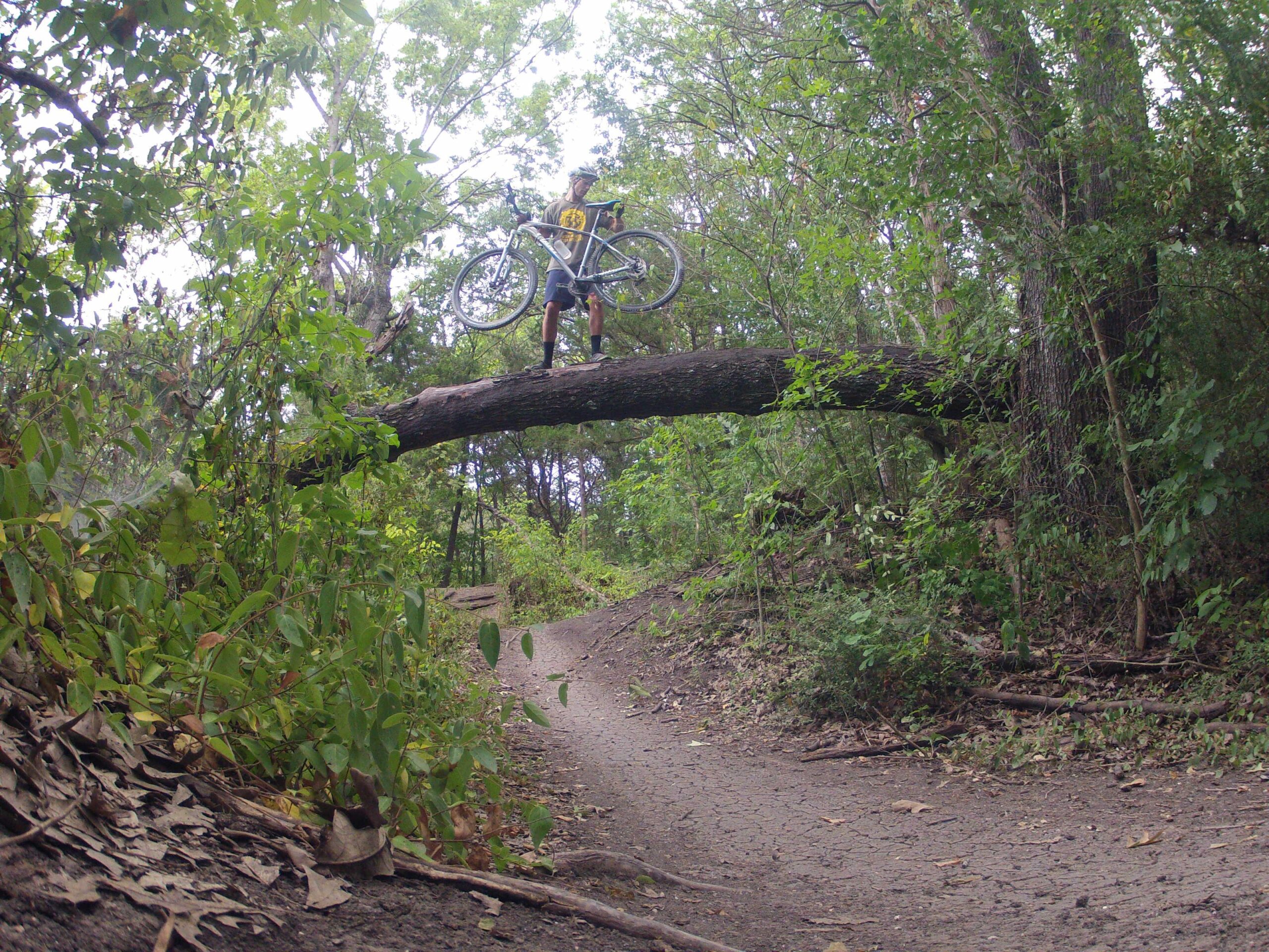 Giant Talon 29er 1: A person standing on a fallen log in a wooded area, holding a bicycle overhead. The scene features a dirt path winding through lush greenery, with leaves and branches surrounding the log.