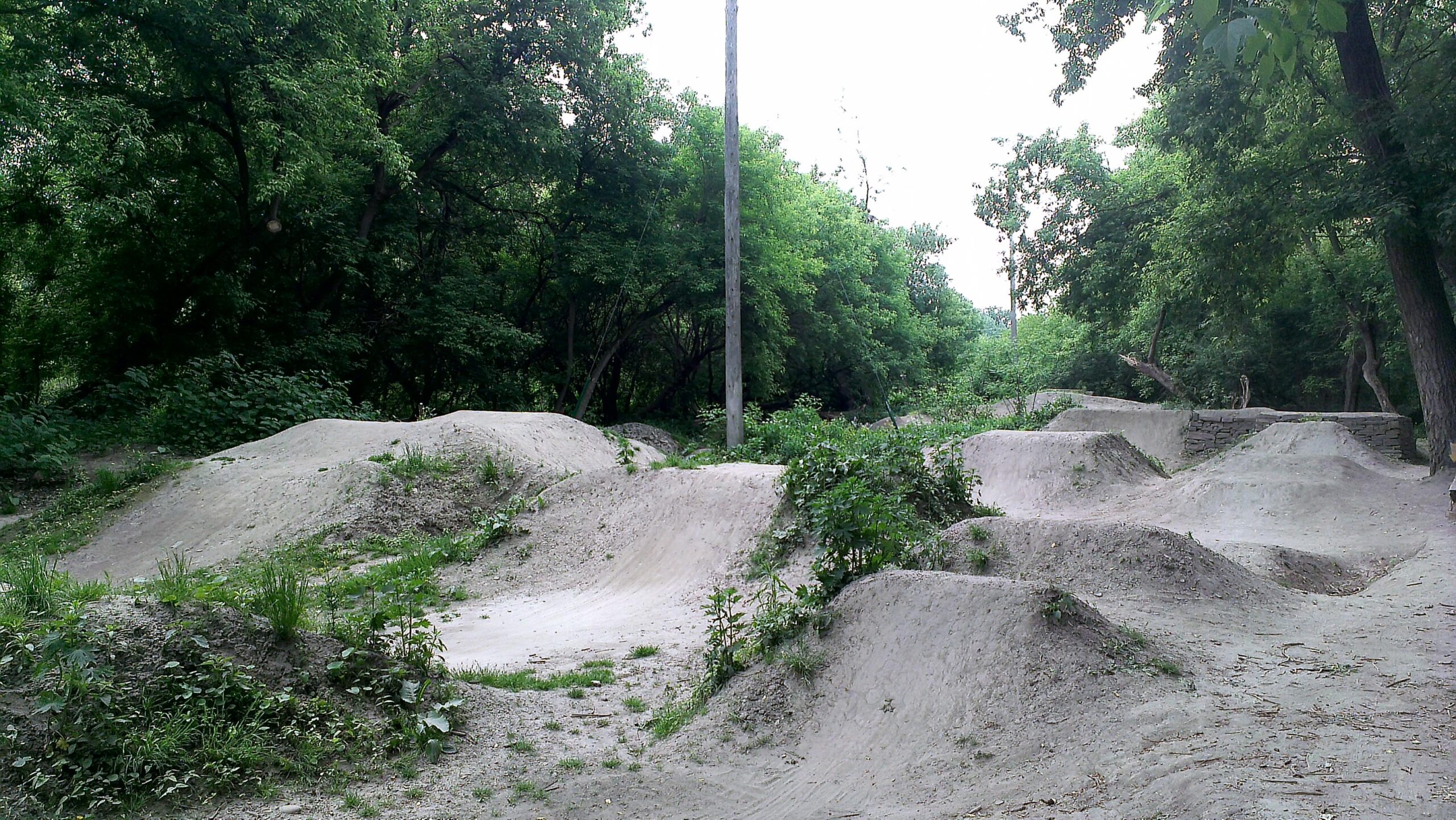 A dirt bike park with a series of small dirt jumps and ramps, surrounded by lush greenery and trees. A utility pole stands in the background, and patches of grass and small plants are visible among the dirt paths. Don Valley mountain bike trail.