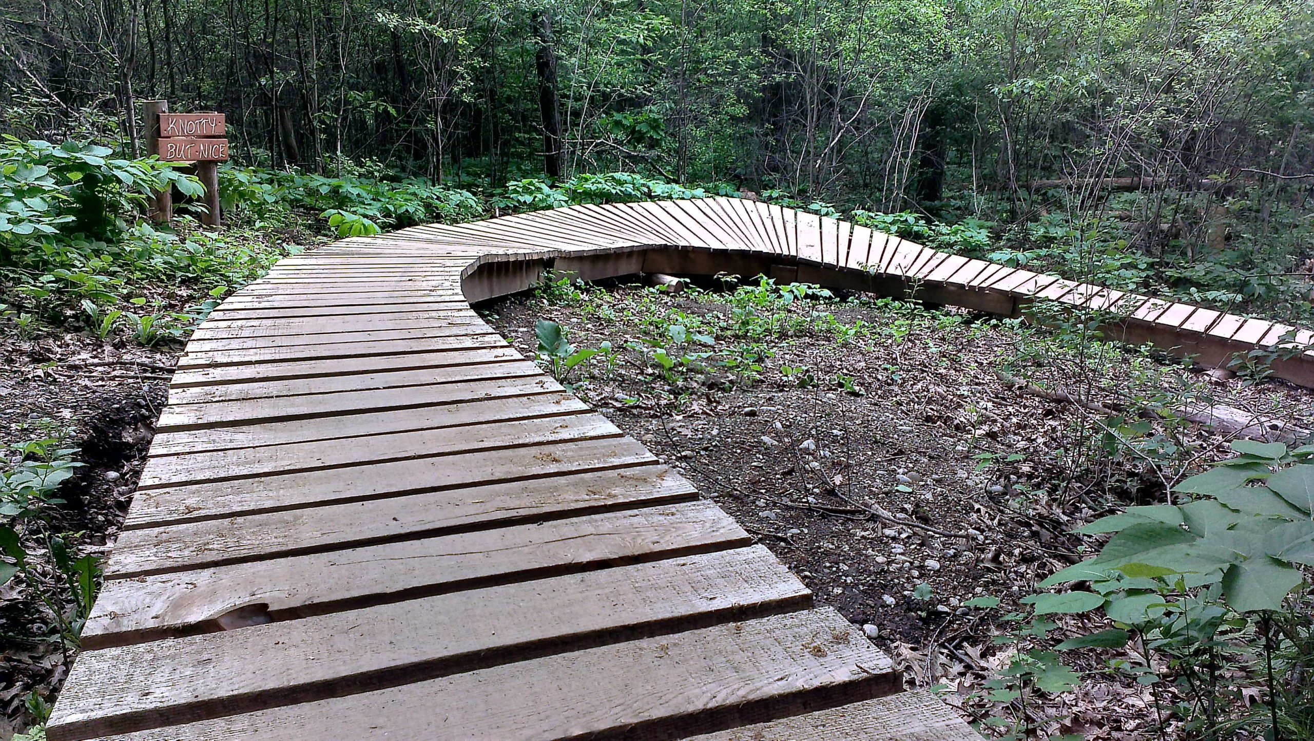 A winding wooden boardwalk path curves through a lush green forest, with trees and foliage on either side. A sign at the beginning of the path reads "Knotty but Nice." The surface of the boardwalk appears slightly damp, indicating recent rainfall. Durham Forest mountain bike trail.