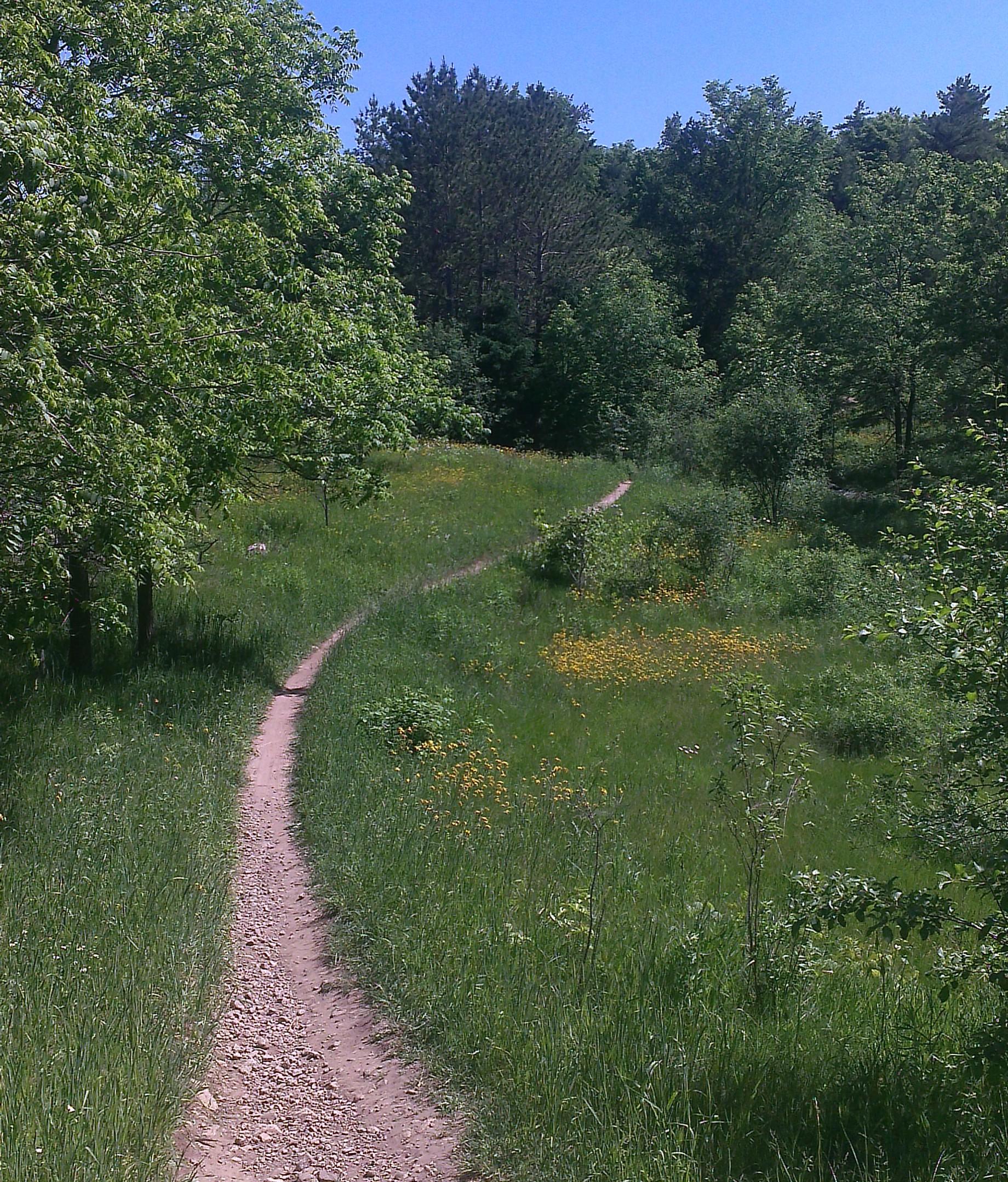 Puslinch Trail