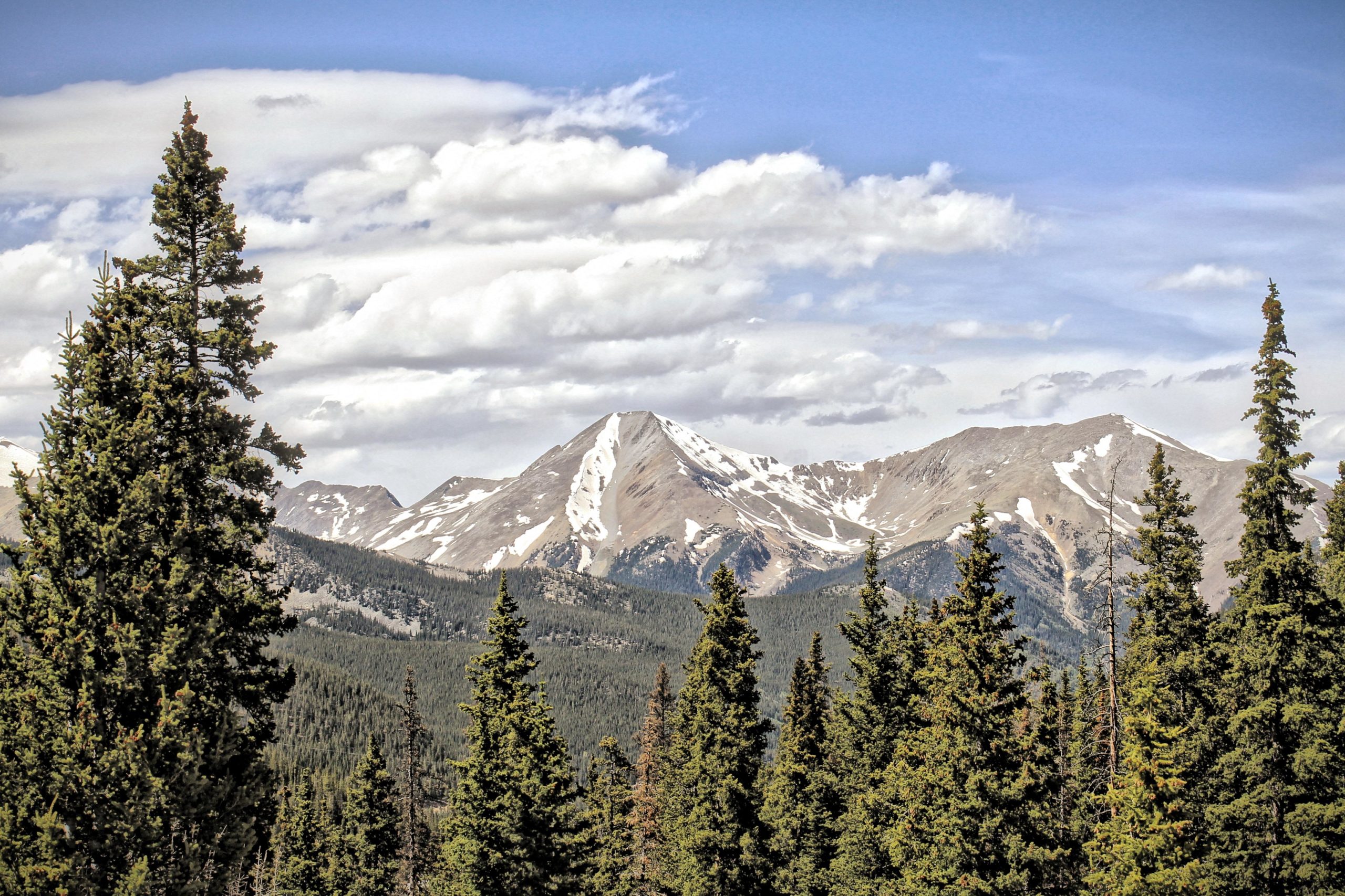 A panoramic view of majestic mountains in the background, featuring snow-capped peaks under a partly cloudy sky. In the foreground, tall evergreen trees create a lush, green contrast to the rocky terrain. The scene captures the natural beauty and tranquility of a mountainous landscape. Monarch Crest Trail mountain bike trail.