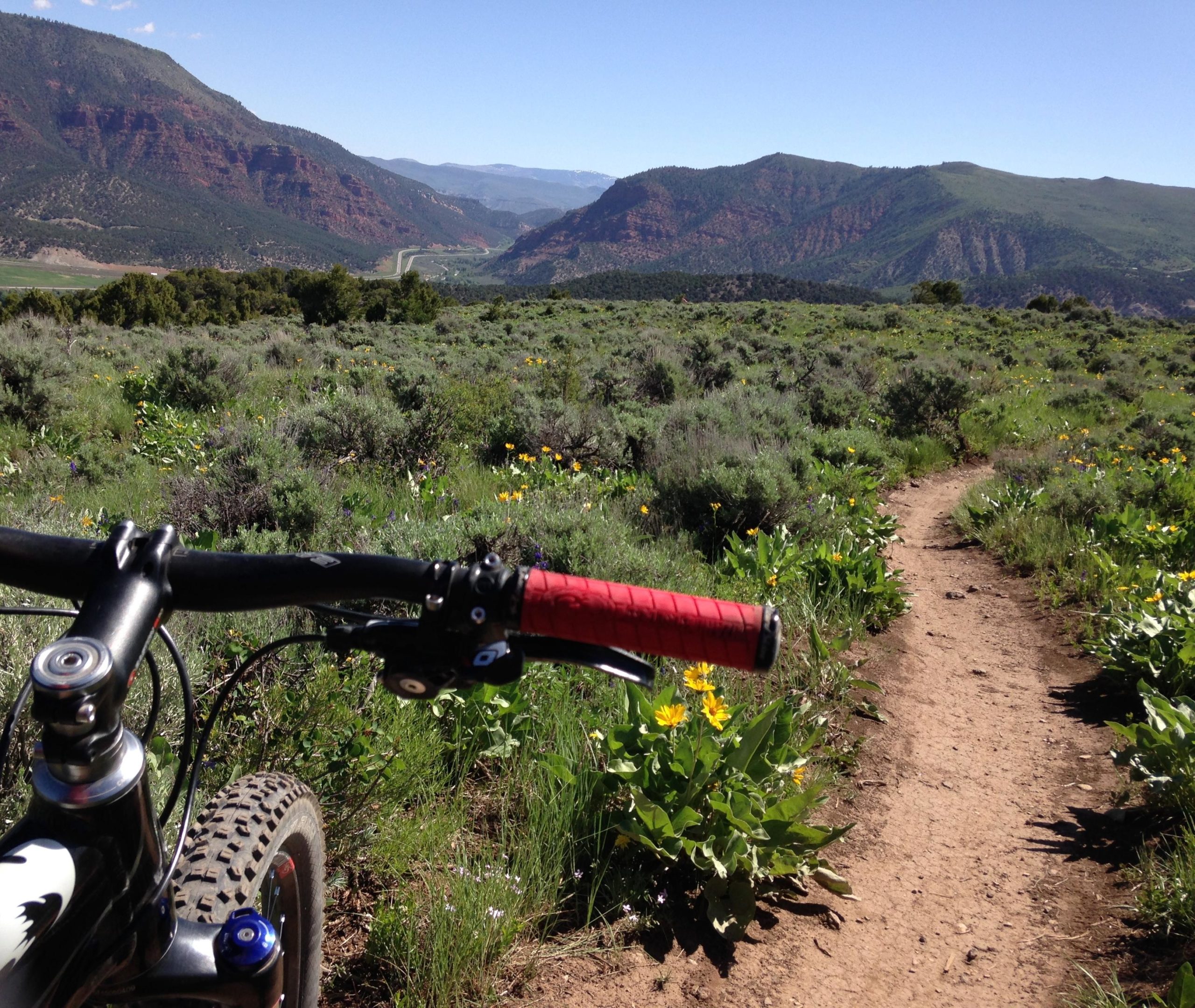 Close-up view of a mountain bike handlebar with red grips, overlooking a dirt trail leading through vibrant green vegetation and wildflowers, set against a backdrop of mountains under a clear blue sky. The Boneyard mountain bike trail.