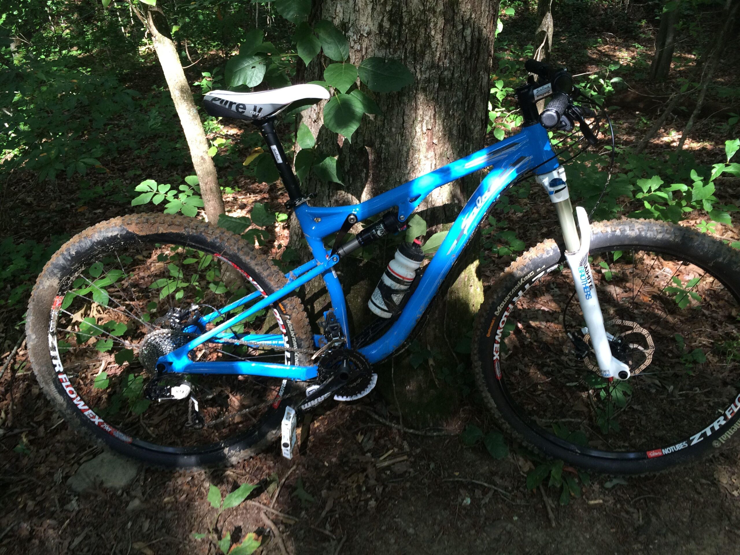 Salsa Horsethief: A blue mountain bike leaning against a tree in a wooded area, with a backdrop of green foliage and dirt ground. The bike features thick, knobby tires and a suspension system, indicating it is designed for off-road riding.