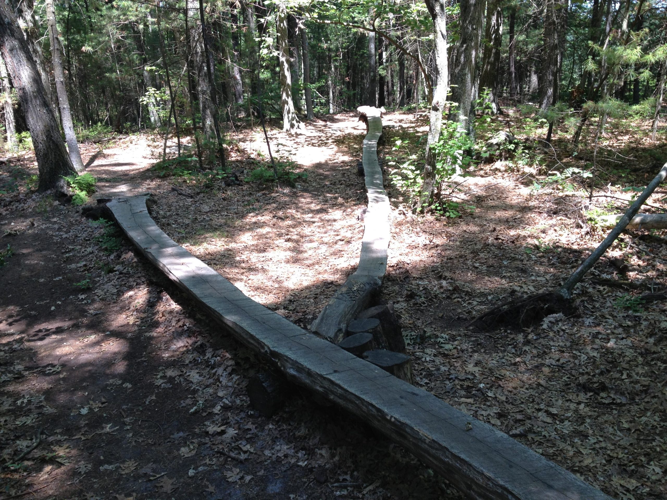 A wooded trail in a forest, featuring a sunlit path covered in fallen leaves. A long, curved wooden bench made from a log runs alongside the trail, creating a natural seating area. Surrounding trees and underbrush are visible, with dappled sunlight filtering through the foliage. Lowell-Dracut-Tyngsborough State Forest mountain bike trail.