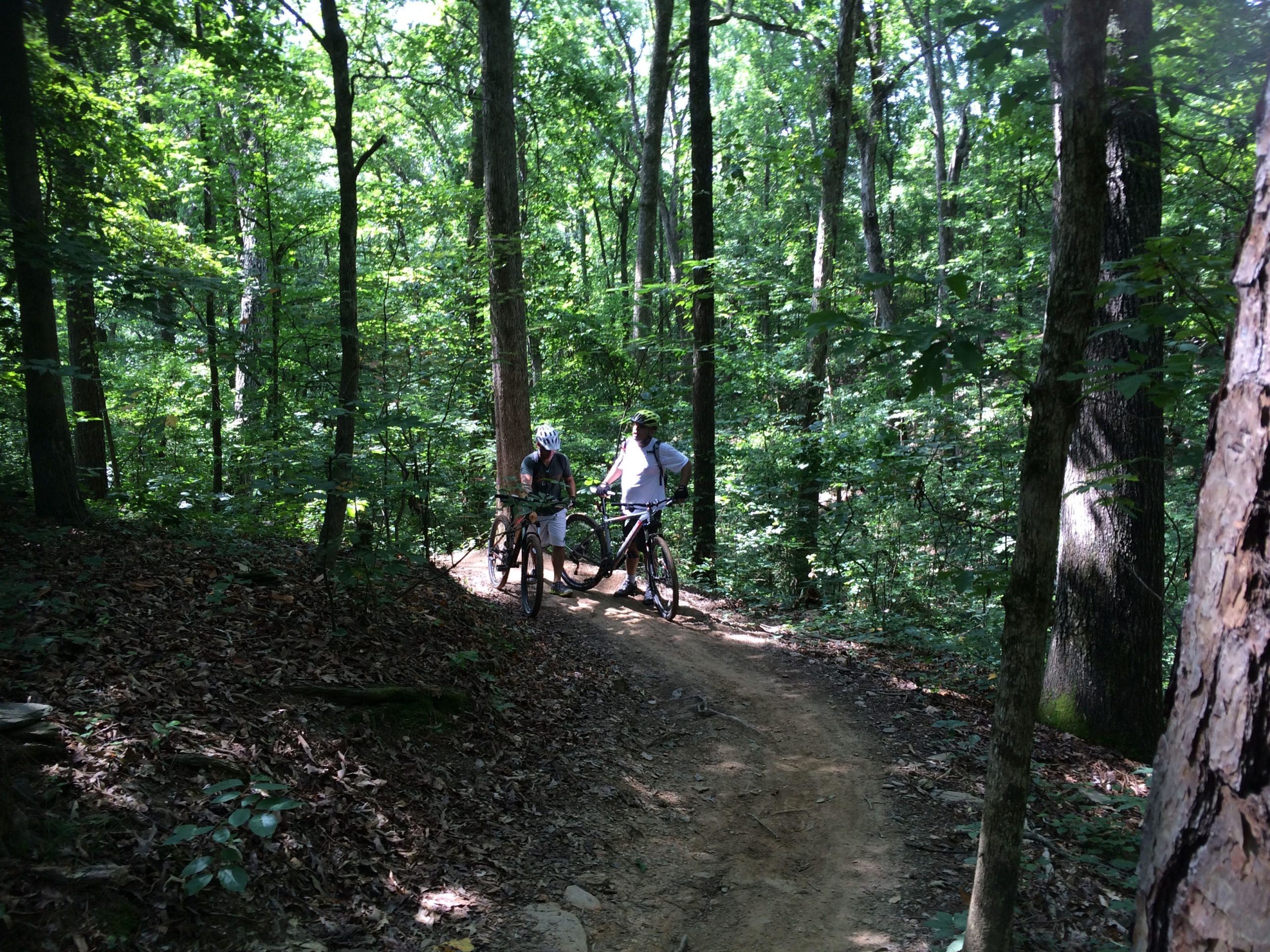 Two mountain bikers pause on a winding dirt trail surrounded by lush green trees in a forest. Sunlight filters through the canopy, illuminating the riders and their bikes as they take a break. Sope Creek mountain bike trail.