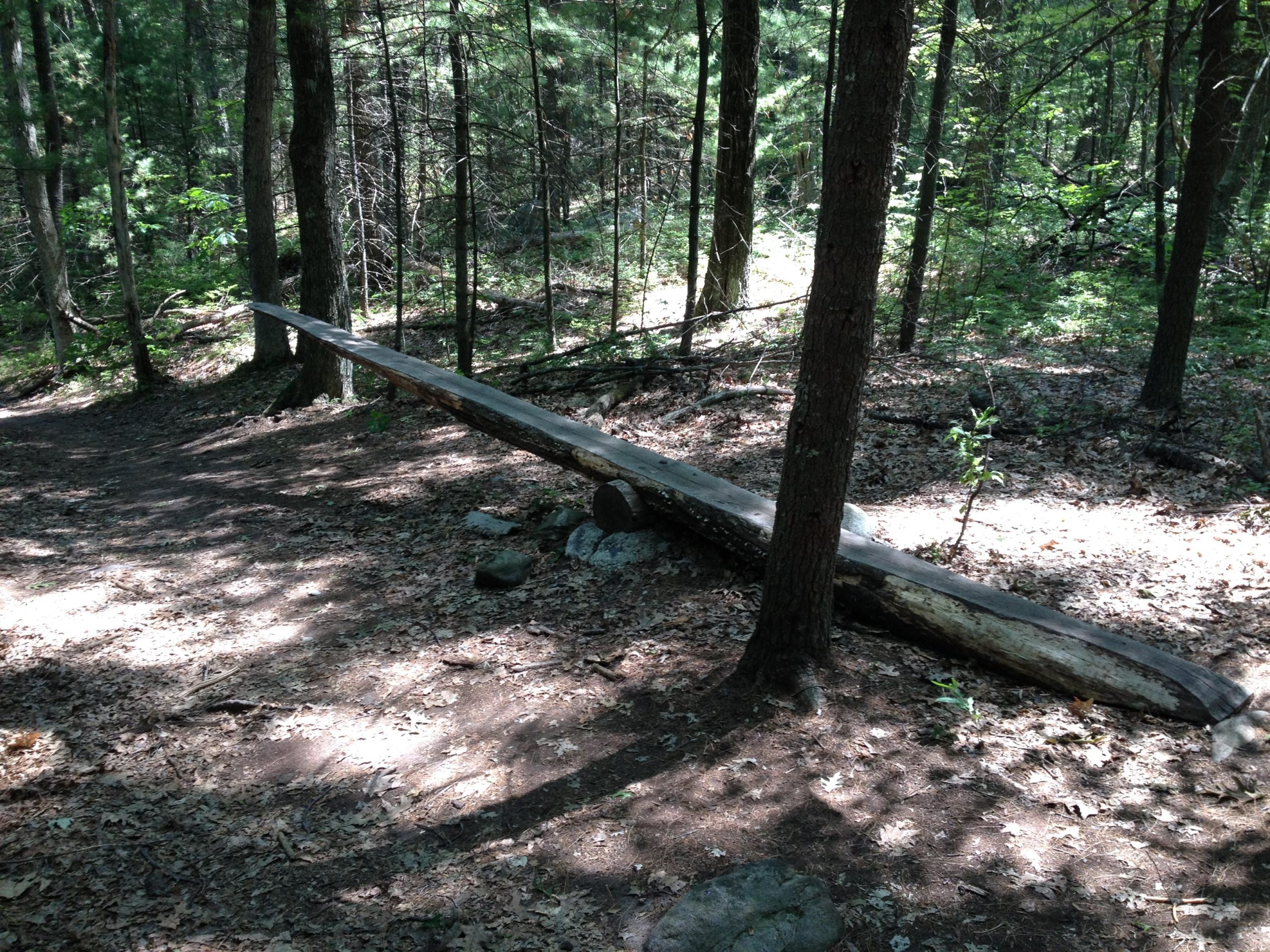A fallen log rests along a wooded trail, surrounded by trees and scattered leaves on the forest floor. Sunlight filters through the foliage, creating dappled shadows on the ground. Lowell-Dracut-Tyngsborough State Forest mountain bike trail.