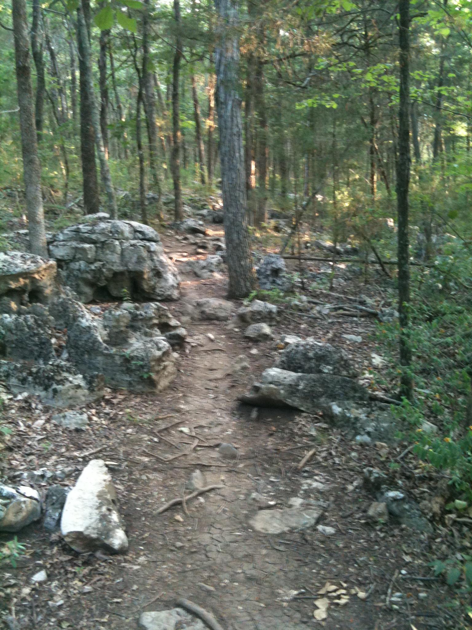 A narrow dirt trail winding through a wooded area, flanked by rocks and tree roots. Sunlight filters through the trees, creating a dappled light effect on the path. Hamilton Creek mountain bike trail.