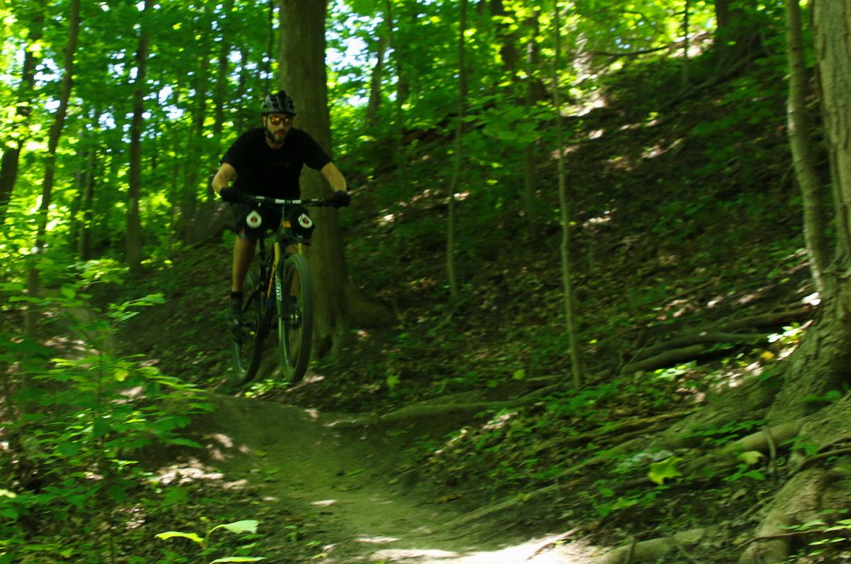 A mountain biker navigating a wooded trail, airborne as they jump off a small rise, surrounded by lush green foliage. Don Valley mountain bike trail.