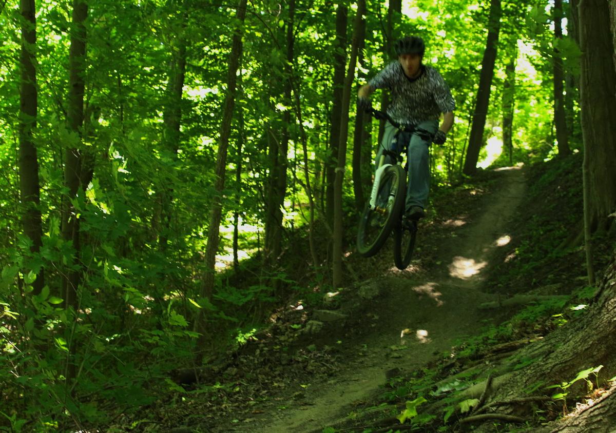 A mountain biker wearing a helmet is performing a jump on a dirt trail surrounded by lush green trees in a forest. The sunlight filters through the leaves, illuminating the scene. Don Valley mountain bike trail.
