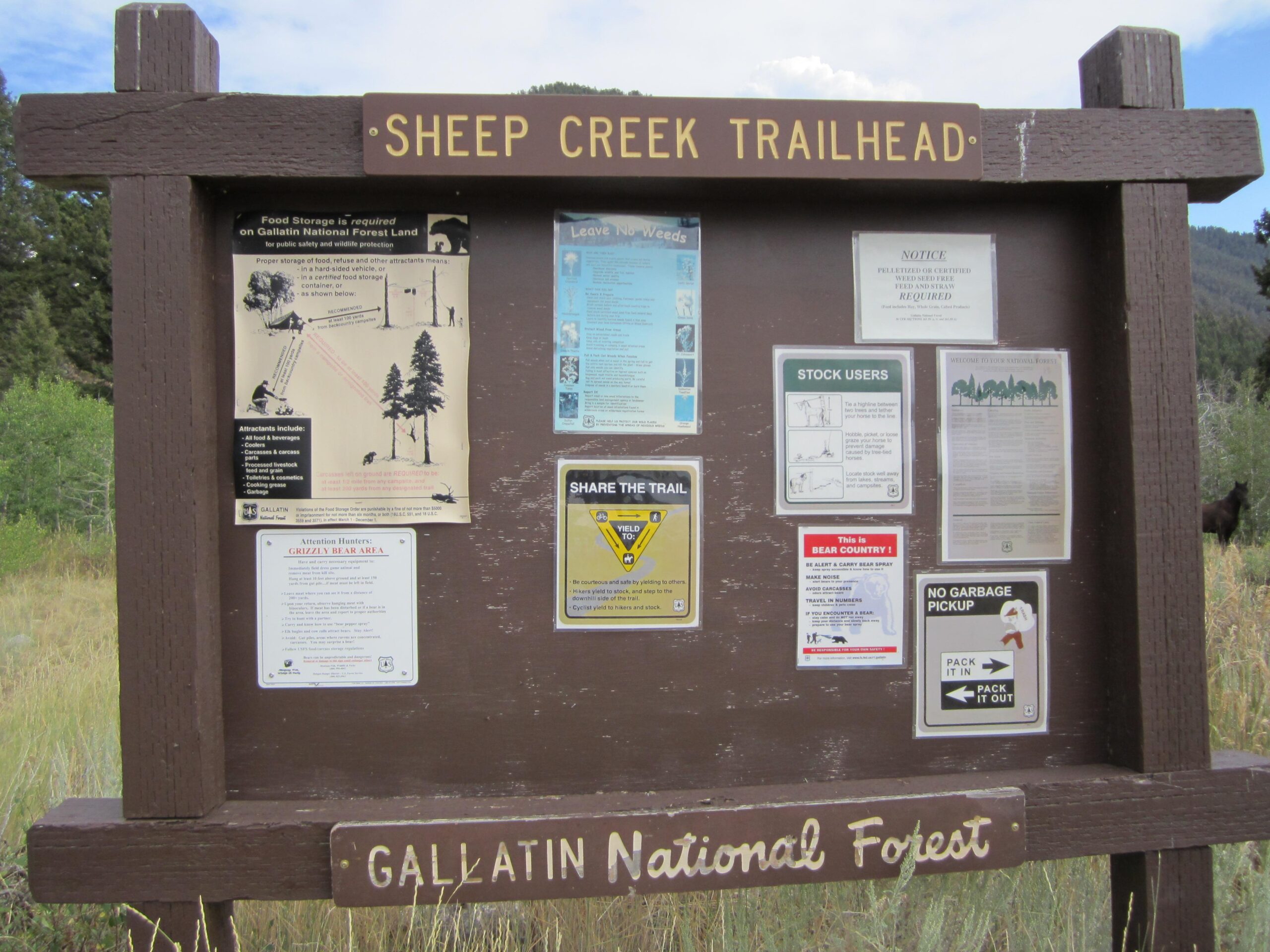 Signboard at the Sheep Creek Trailhead in Gallatin National Forest, featuring various informational notices and guidelines for outdoor enthusiasts, including food storage requirements, bear awareness, and trail etiquette. Sheep Creek Trail mountain bike trail.